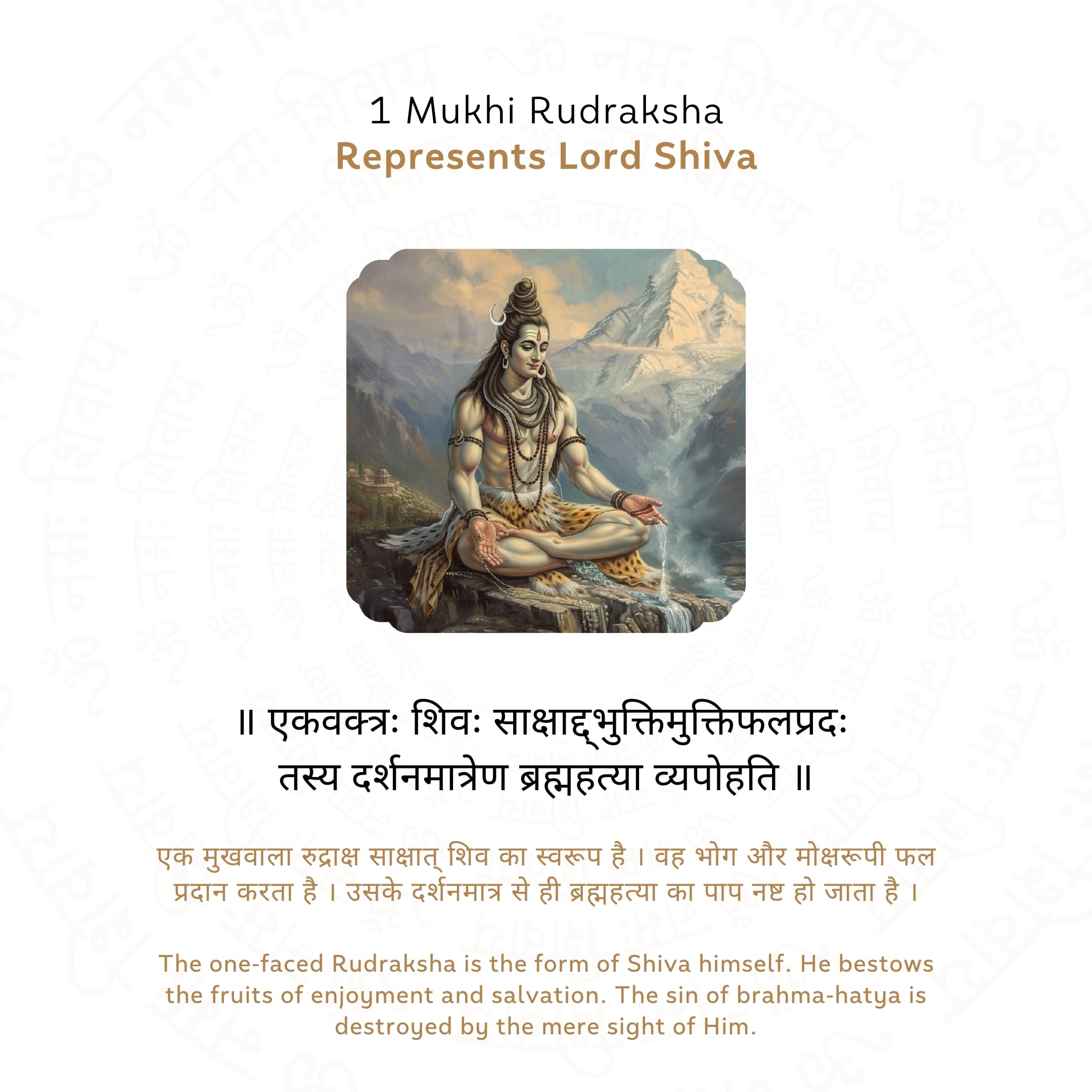 Prinjal Jewellers Premium 1 Mukhi Rudraksha - view 4