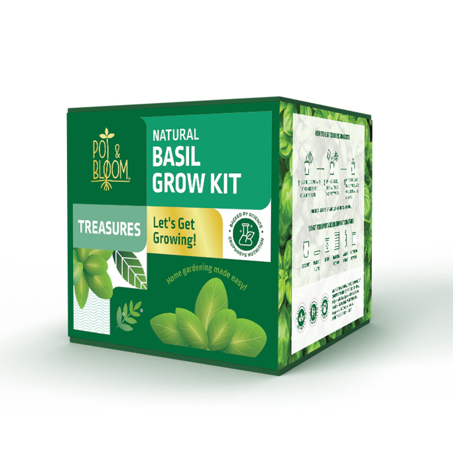 Ugaoo Treasures Basil Kit