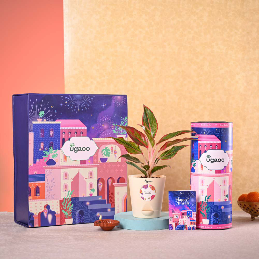 Ugaoo Aglaonema Red Plant & Nutki Gift Hamper - view 2
