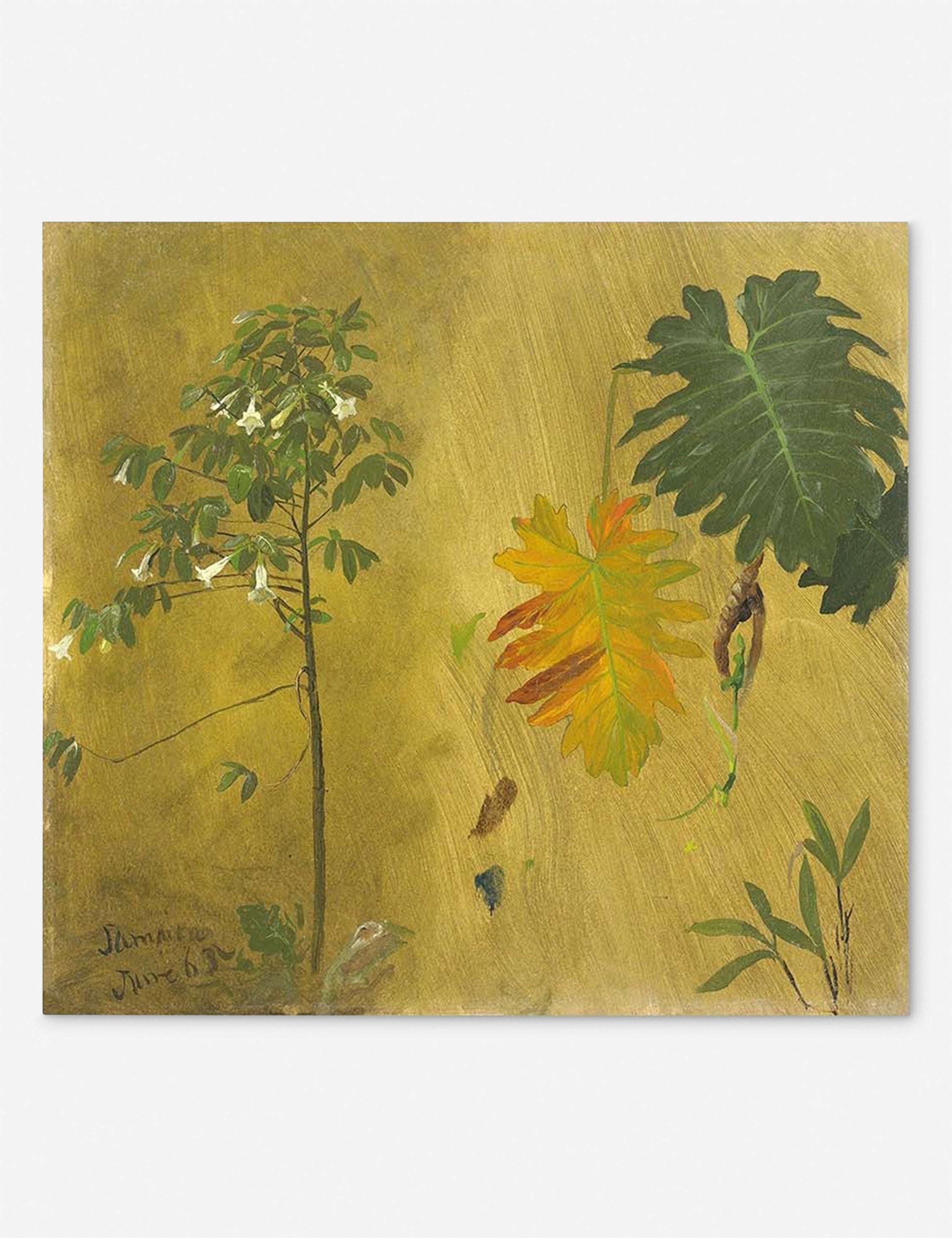 Botanical study jamaica – Lulu and Georgia Botanical Study, Jamaica Print by Frederic Edwin Church
