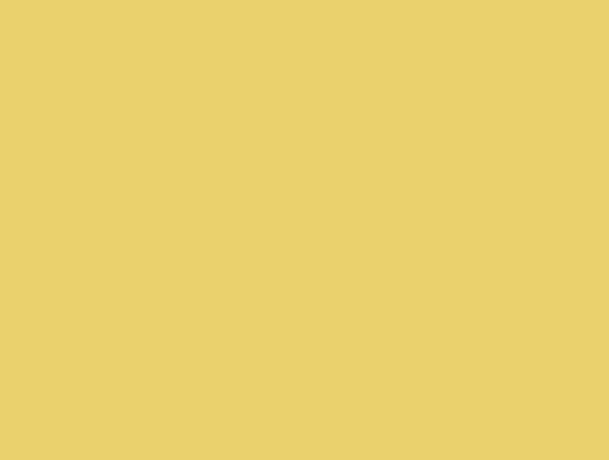 Spaces India Solid Yellow/Ivory 100% Cotton Shell Single Quilt / AC Comforter - Essentials Solid By Spaces - view 5