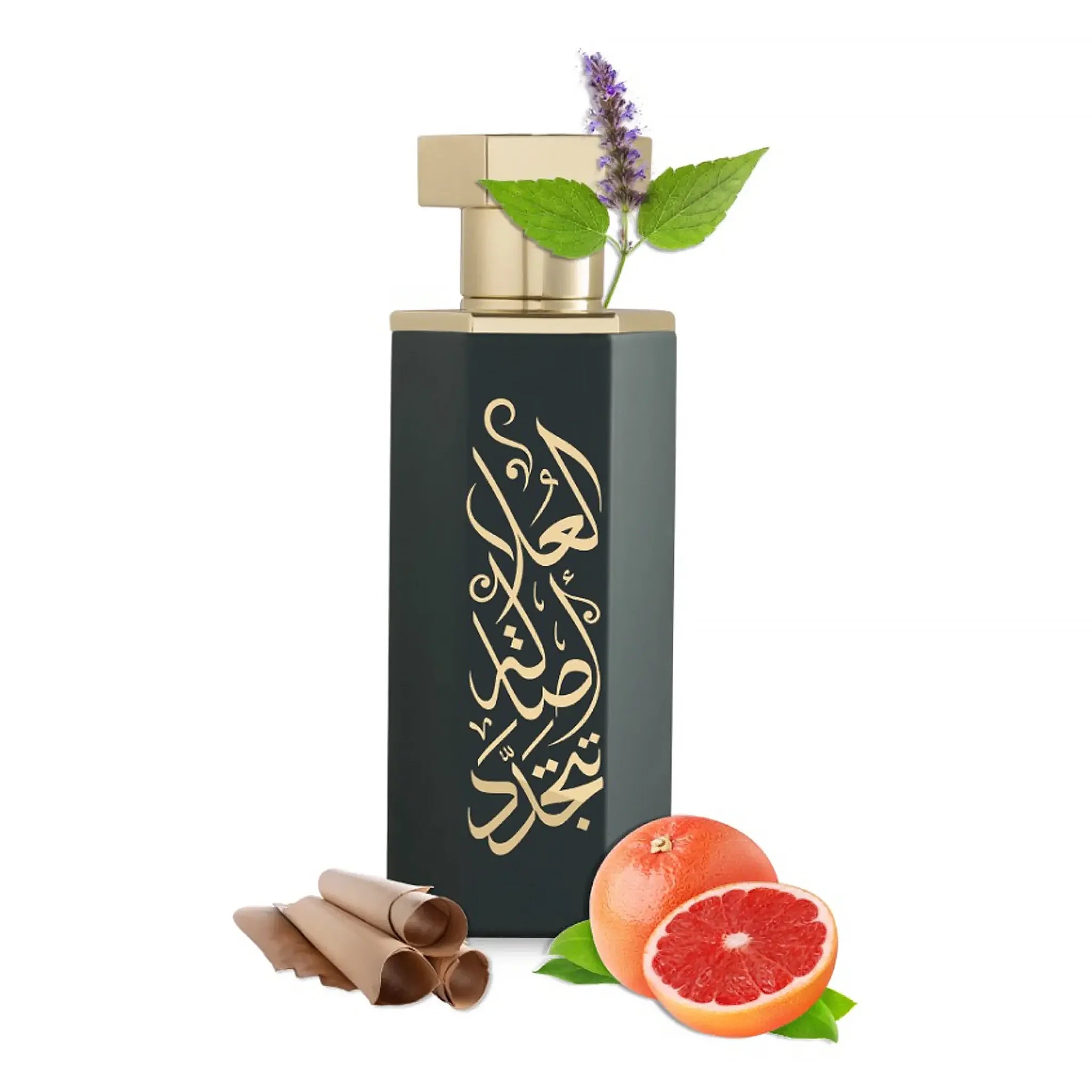 REEF Perfumes REEF Arabs of AlUla Eau De Parfum 100ml