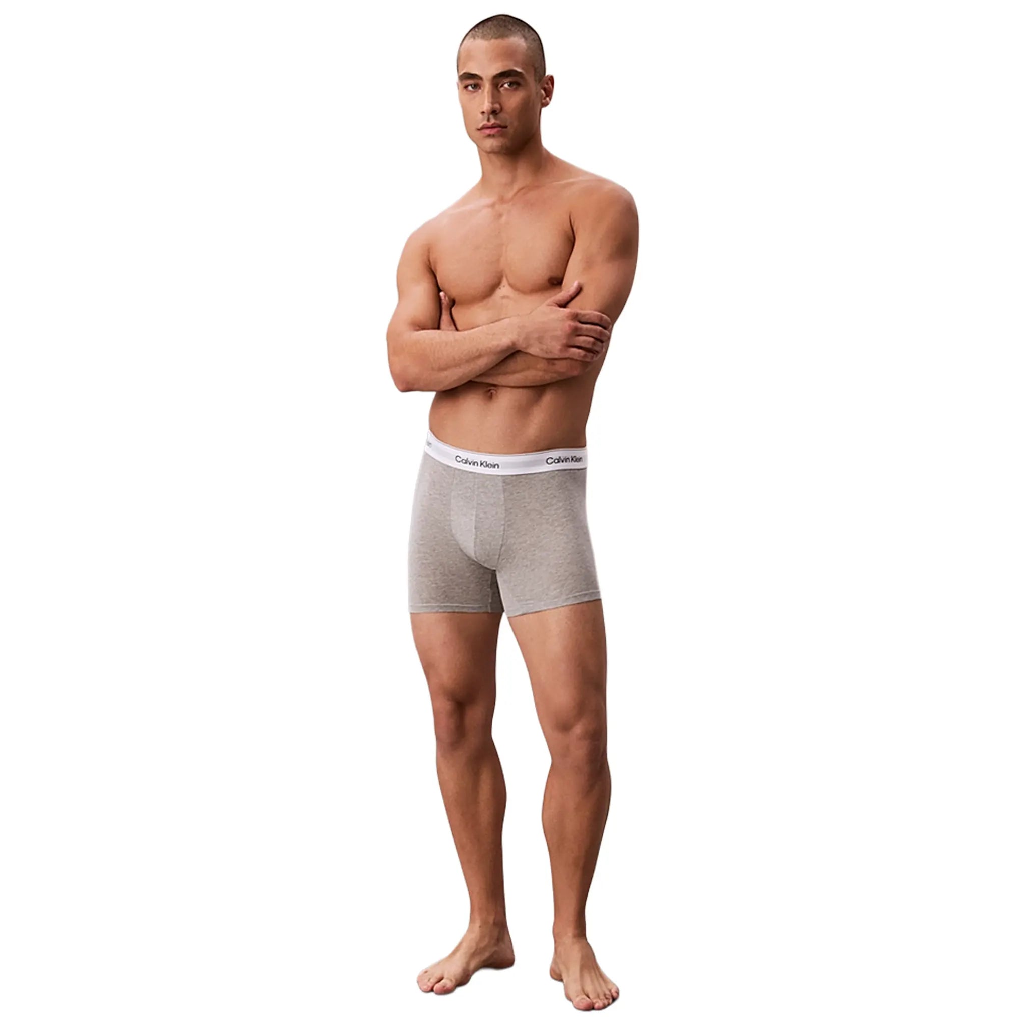 Calvin Klein White Black Grey Boxer Briefs Three Pack - view 6