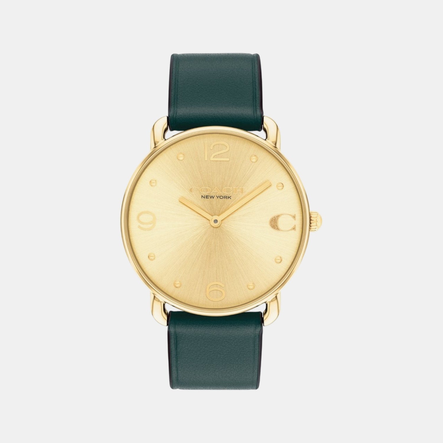 Coach Elliot Women Quartz Gold Dial Analog Leather Watch 14504202
