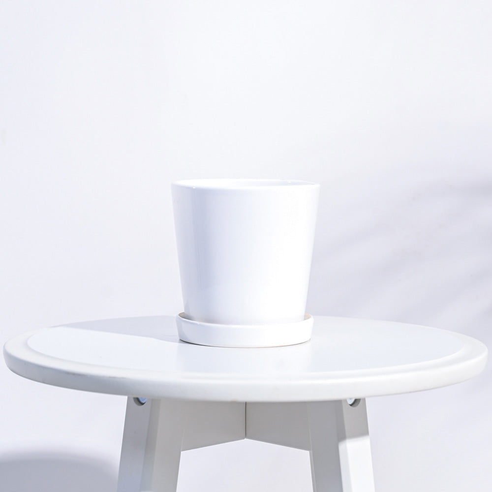 Ugaoo Table Top Ceramic Pot - White - view 3