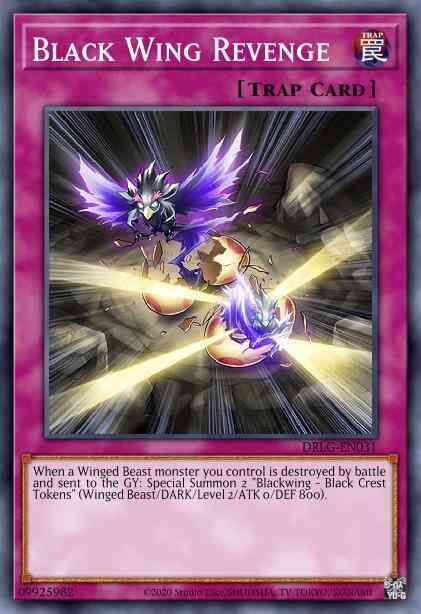 Yu-Gi-Oh! Black Wing Revenge - DRLG-EN031 - Super Rare - 1st Edition