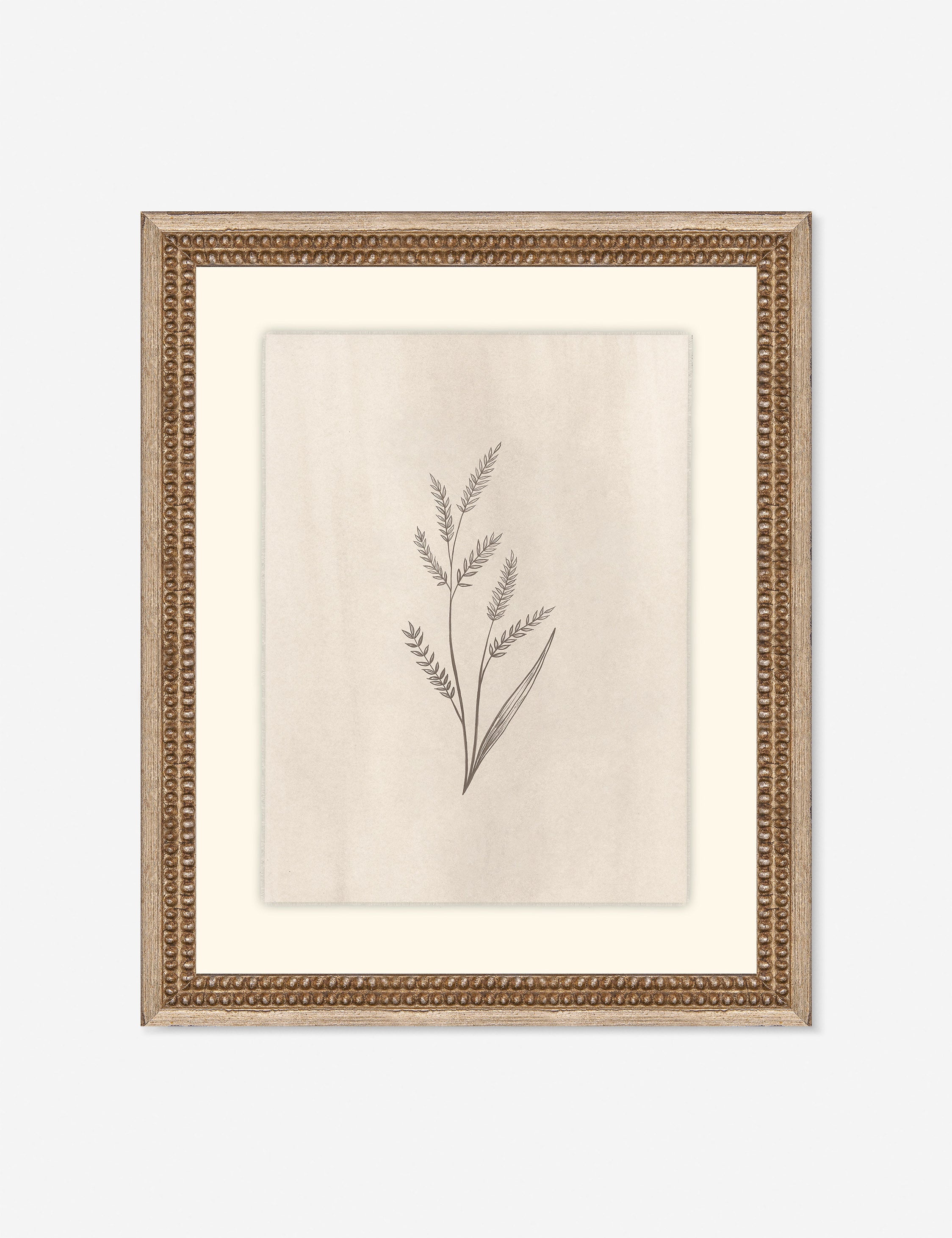 Lulu and Georgia Elegant Botanical II Wall Art by Makai Howell
