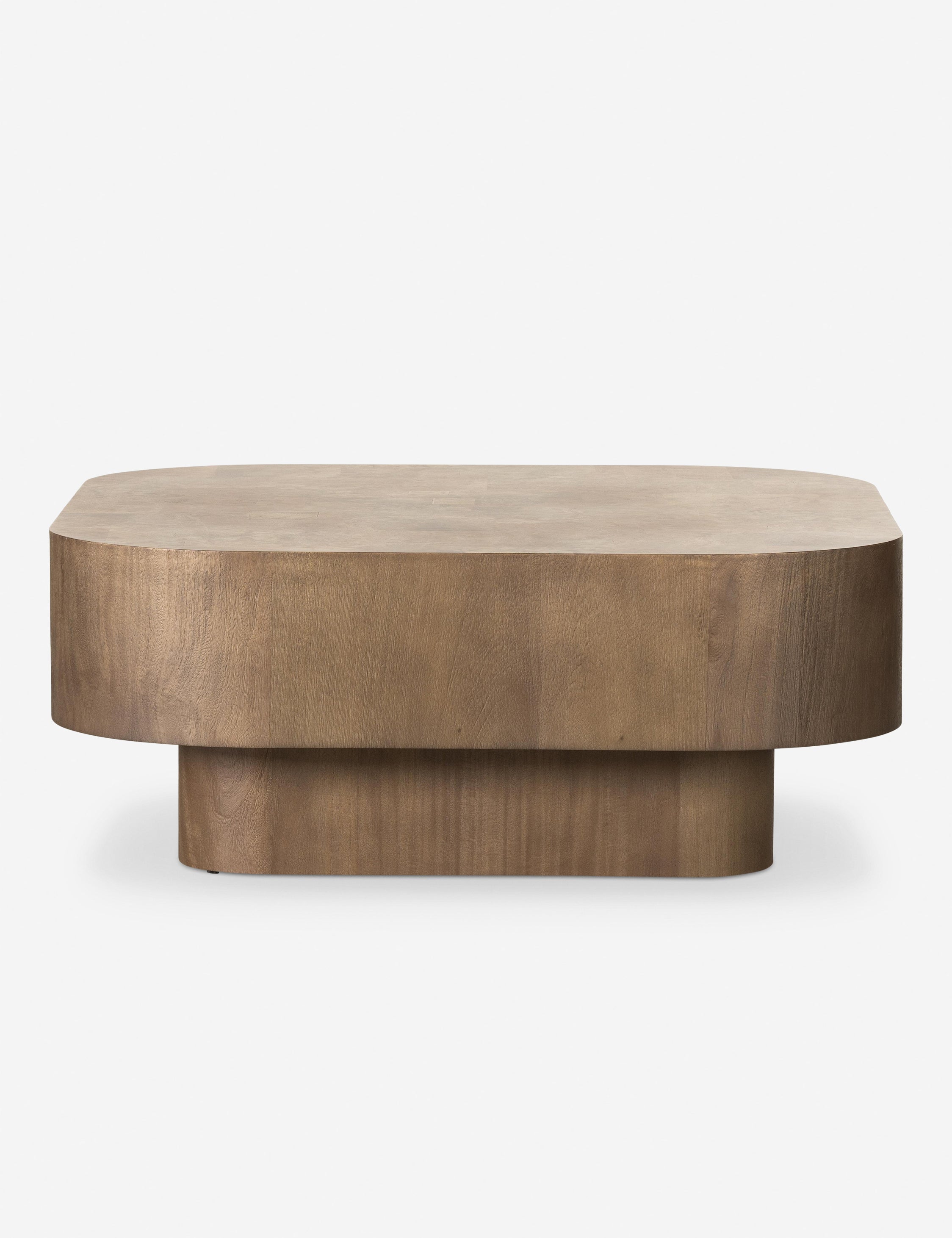Lulu and Georgia Sunako Coffee Table - view 8