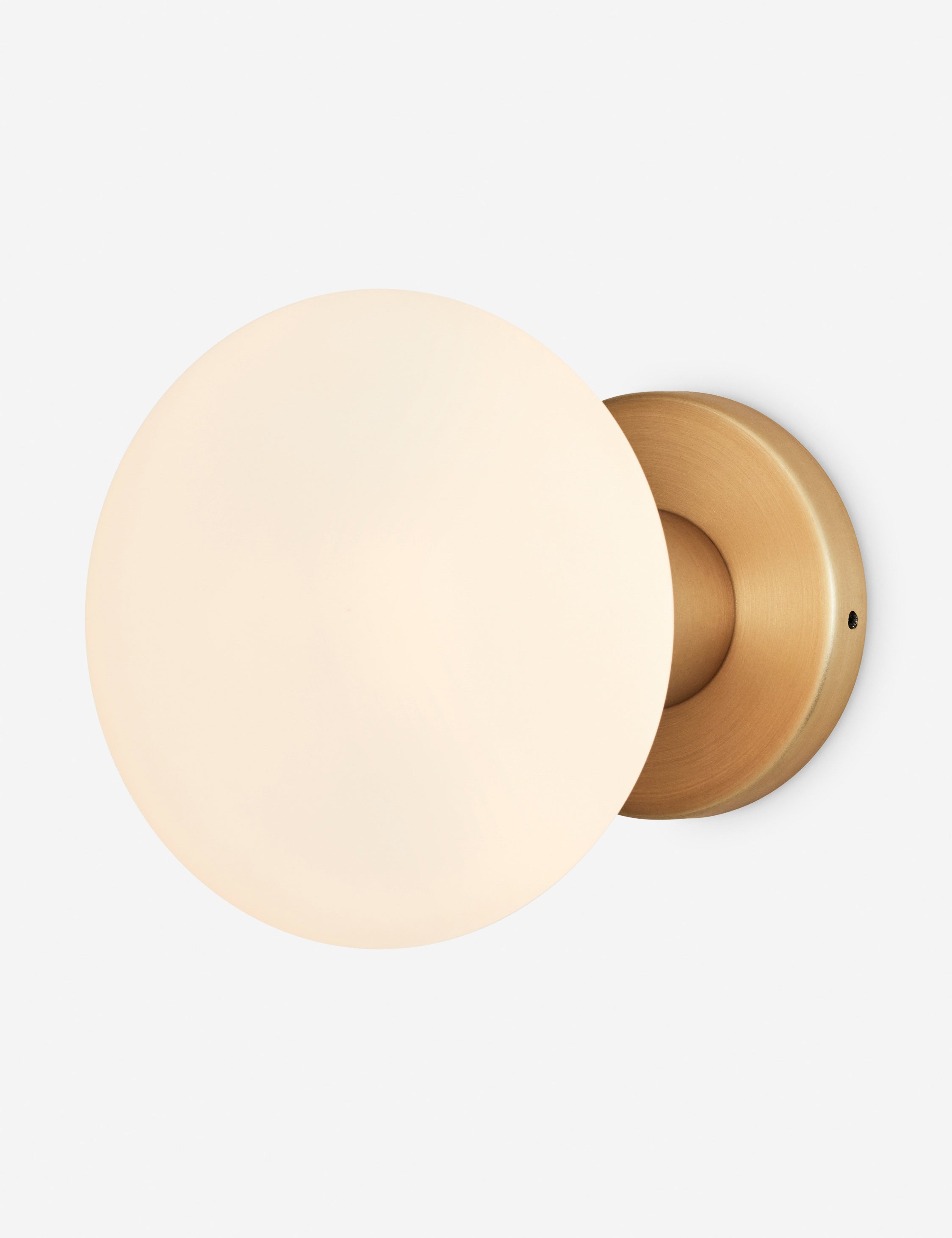 Lulu and Georgia Lochan Outdoor Sconce with Oval by Tala