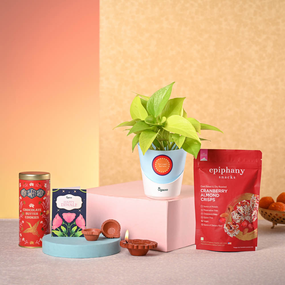 Ugaoo Money Plant Golden & Bombay Sweet Shop Diwali Gift Hamper