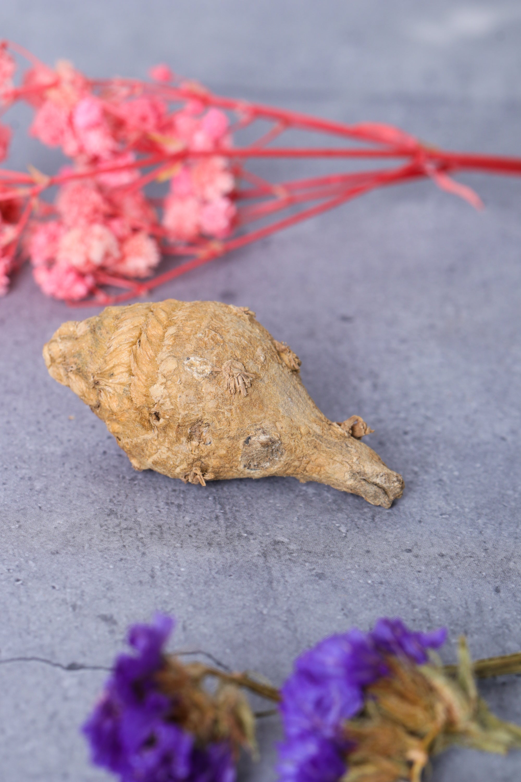 Studio Vaidik Kali Haldi / Turmeric for Puja Samagri - view 2