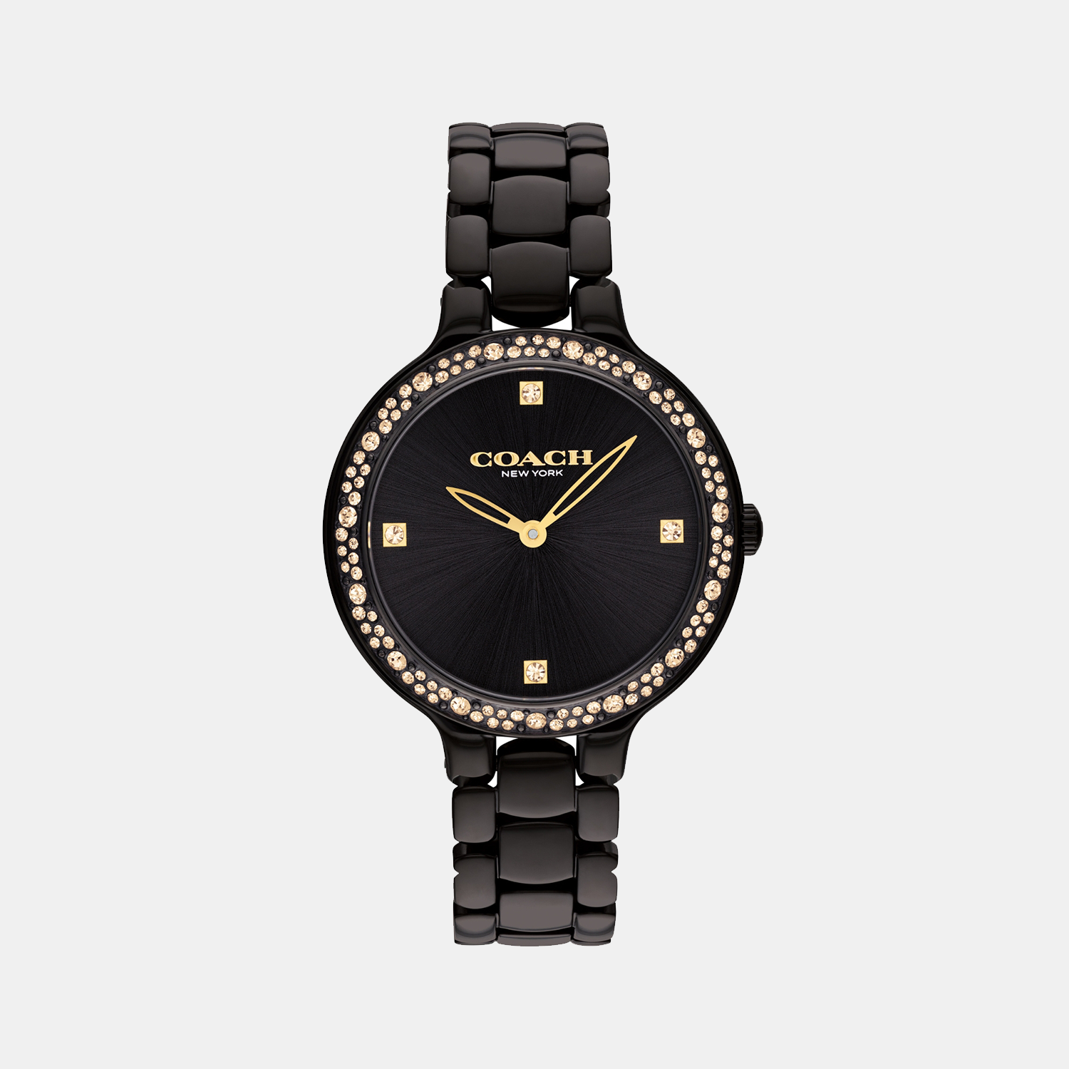 Coach Chelsea Women Quartz Black Dial Analog Stainless Steel Watch 14504352