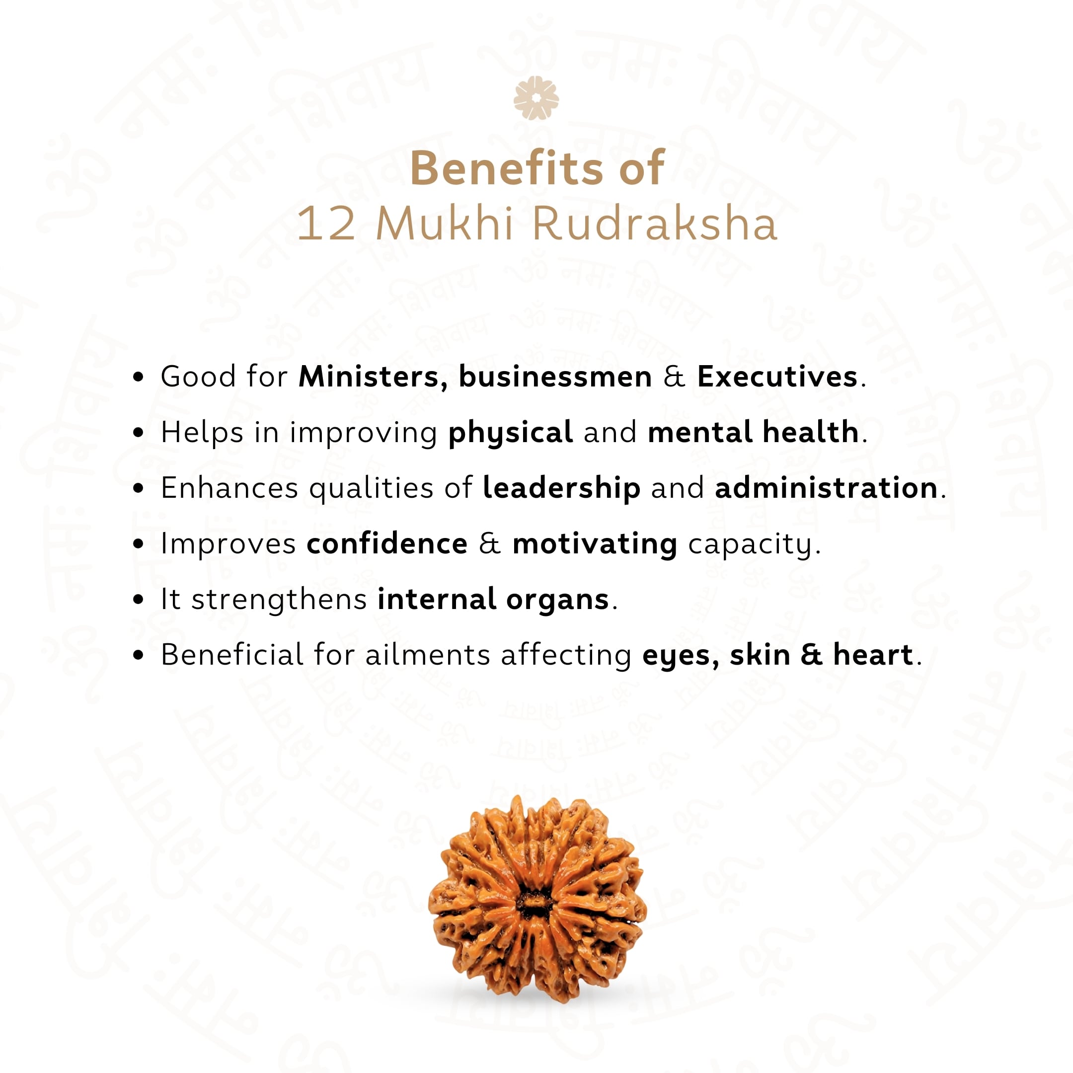 Prinjal Jewellers 12 Mukhi Rudraksha ( Nepali ) - view 3