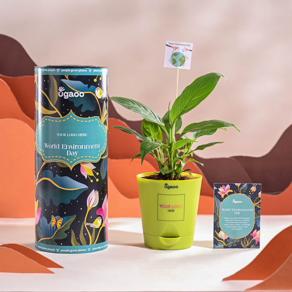 Ugaoo Peace Lily For Environment Day Gifting - view 14