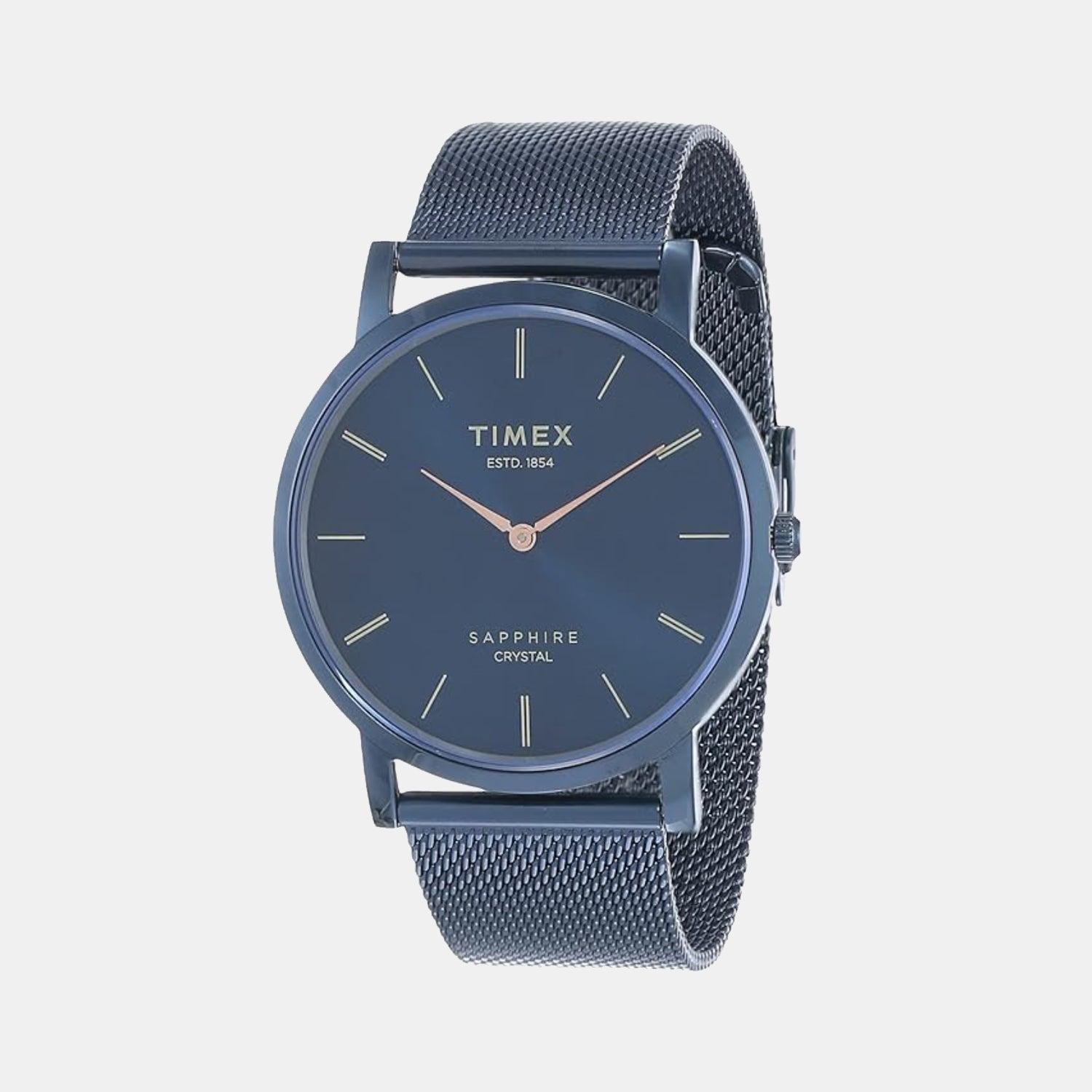 Timex Empera Men Quartz Blue Dial Analog Mesh Watch TWEG17414