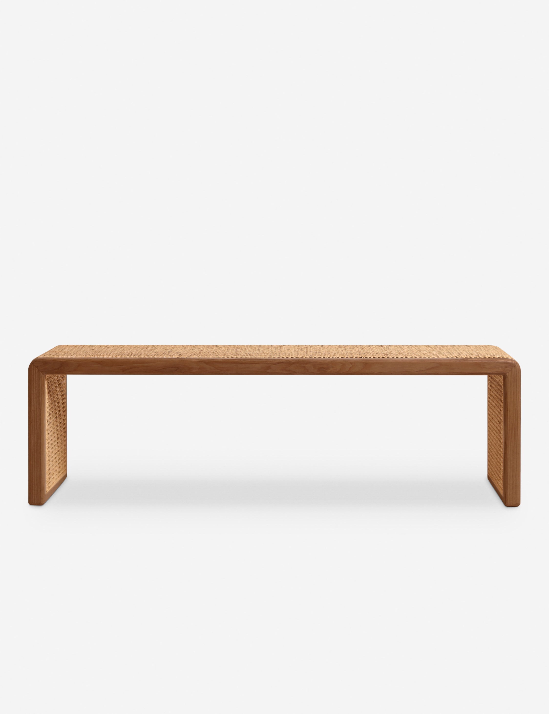 Lulu and Georgia Canistel Bench by Carly Cushnie - view 2