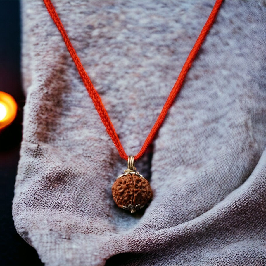 Soultheory Natural 8 Mukhi Nepali Rudraksha - Aath Mukhi