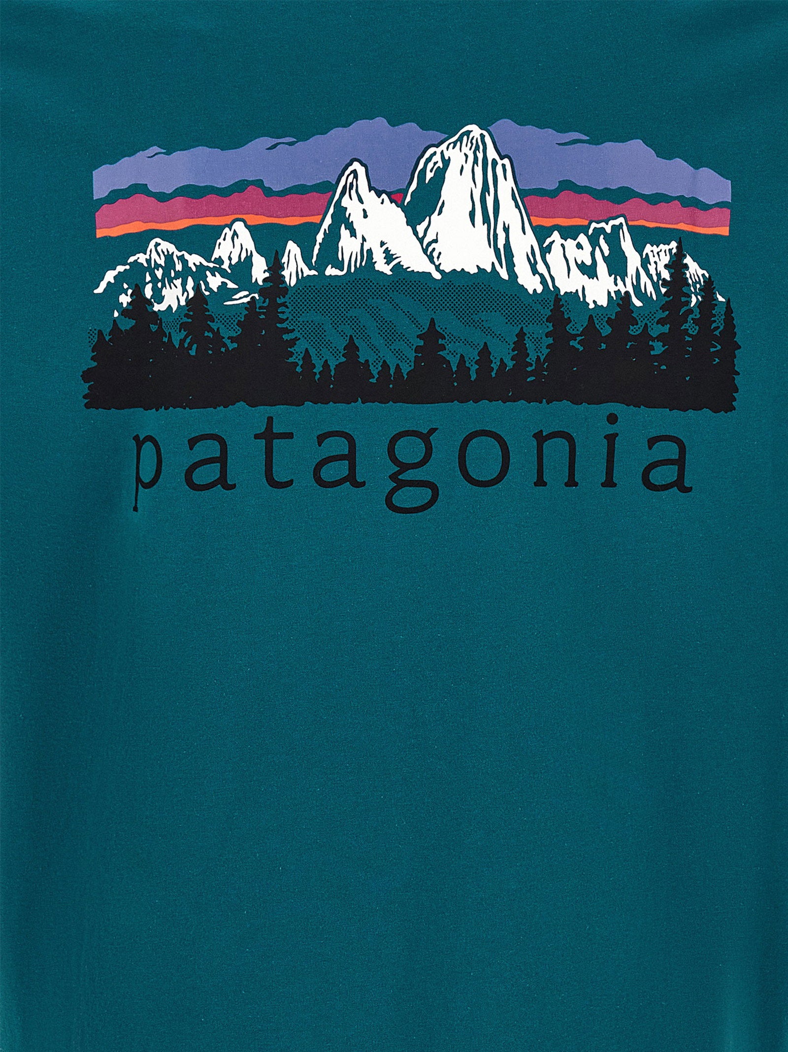 Patagonia Fitz Roy Foothills Print T-shirt – 100% cotton - view 4