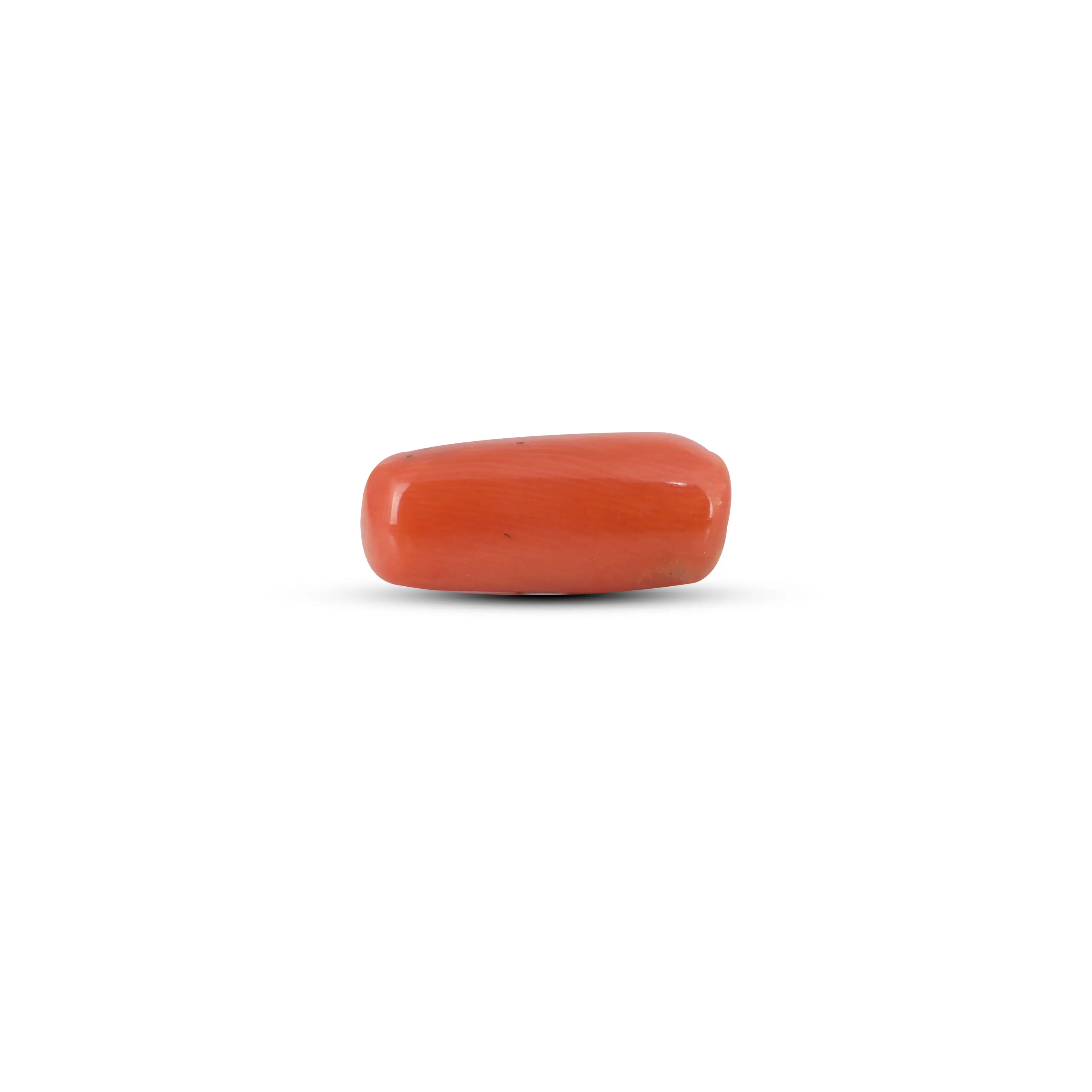 Pramogh Red Coral - 5.8 Carat