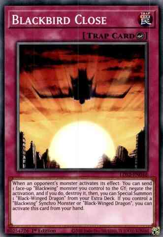 Yu-Gi-Oh! Blackbird Close - LDS2-EN046 - Common - 1st Edition