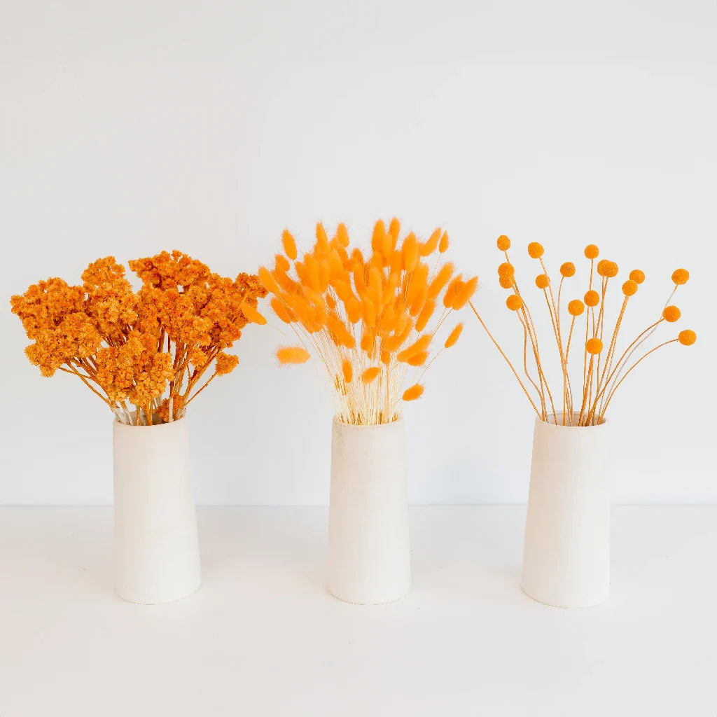 FiftyFlowers Desert Orange Dried Flower Pack - view 2