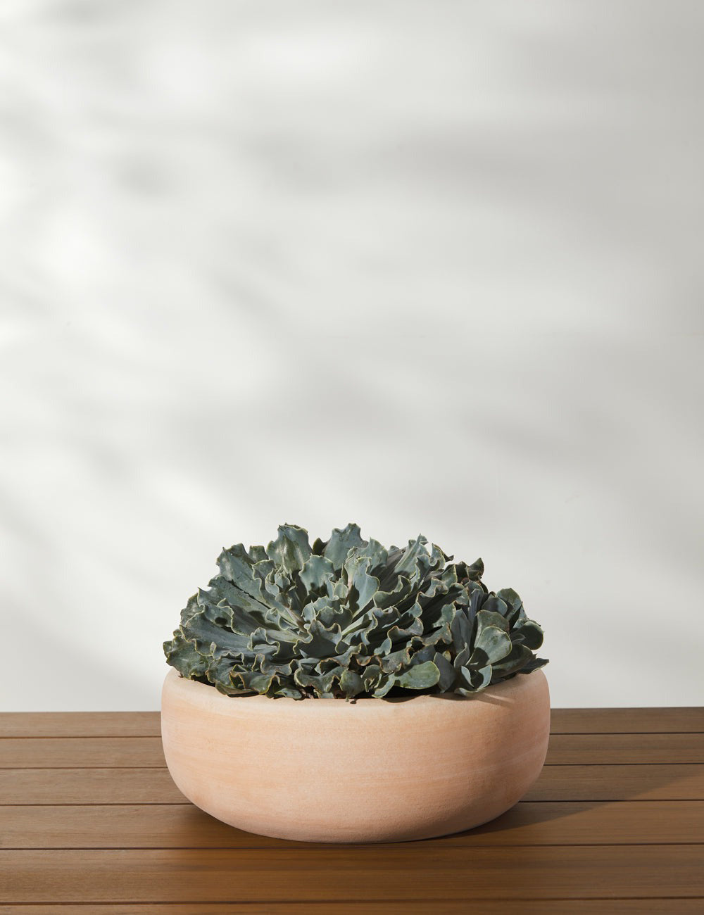 Lulu and Georgia Annalise Planter (Set of 2) by Campania International - view 2