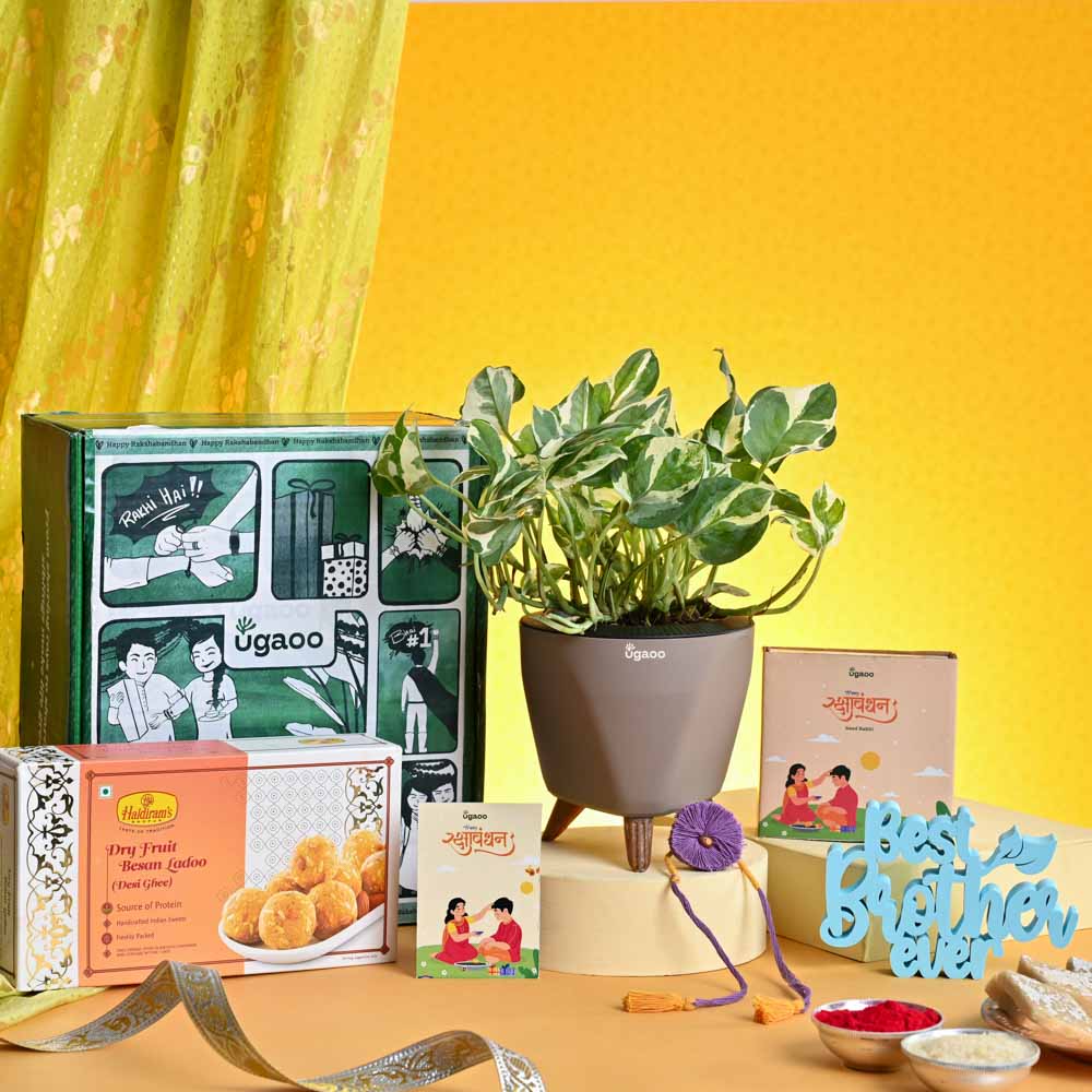 Ugaoo Rakhi Gift for Brother - Money Plant N_Joy with Best Brother Momento and Besan Laddo