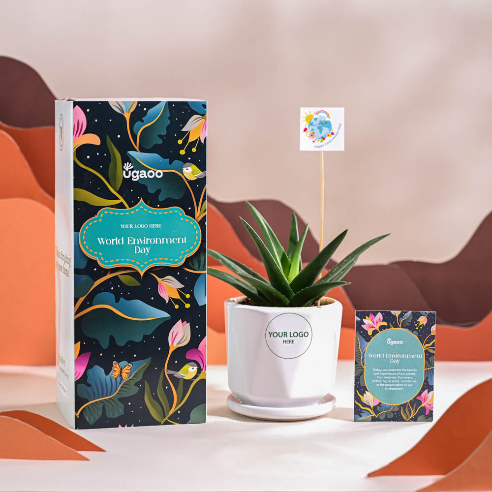 Ugaoo Aloe Vera Green Mini Plant For Environment Day Gifting - view 49