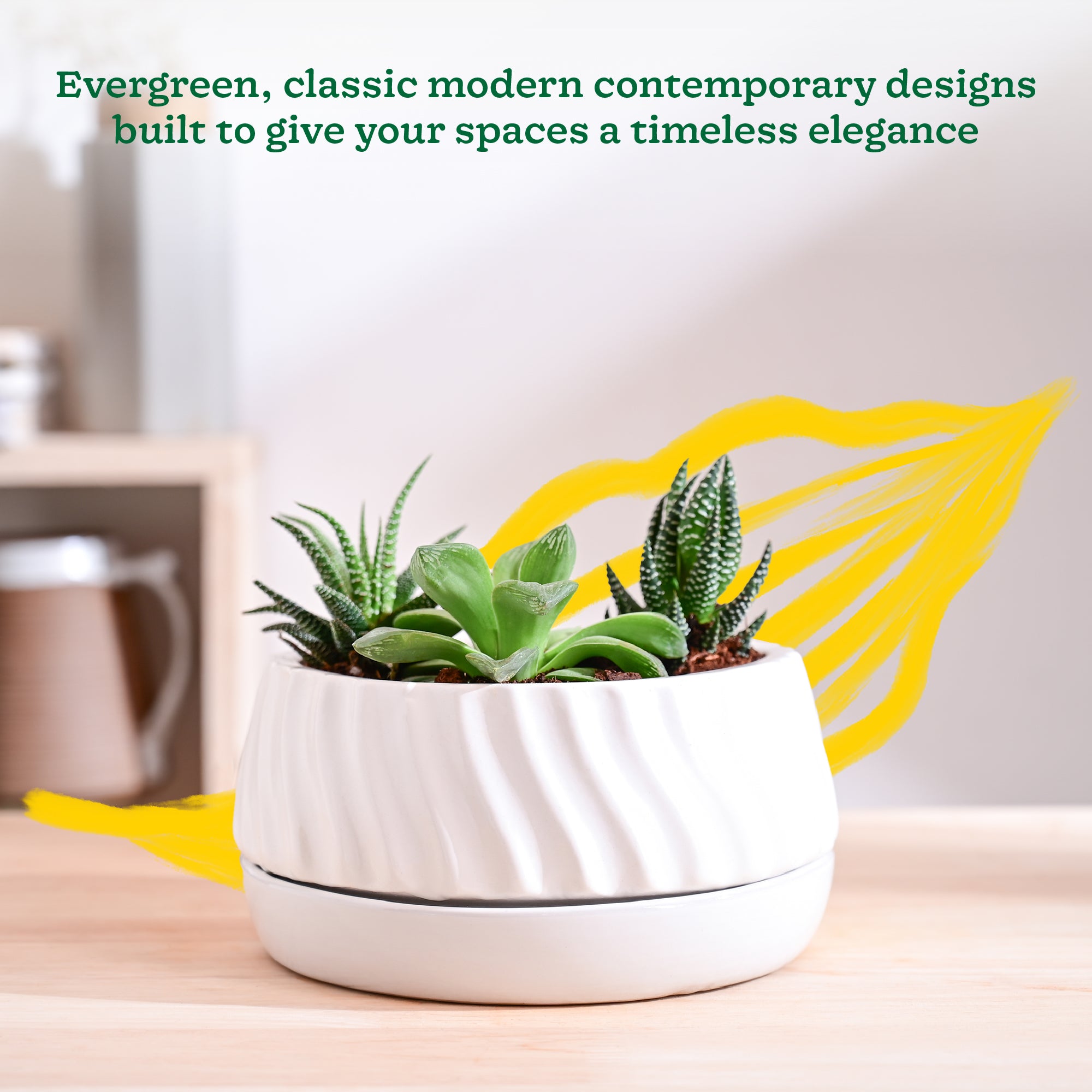 Ugaoo Fallen Angel Ceramic Planter - view 66