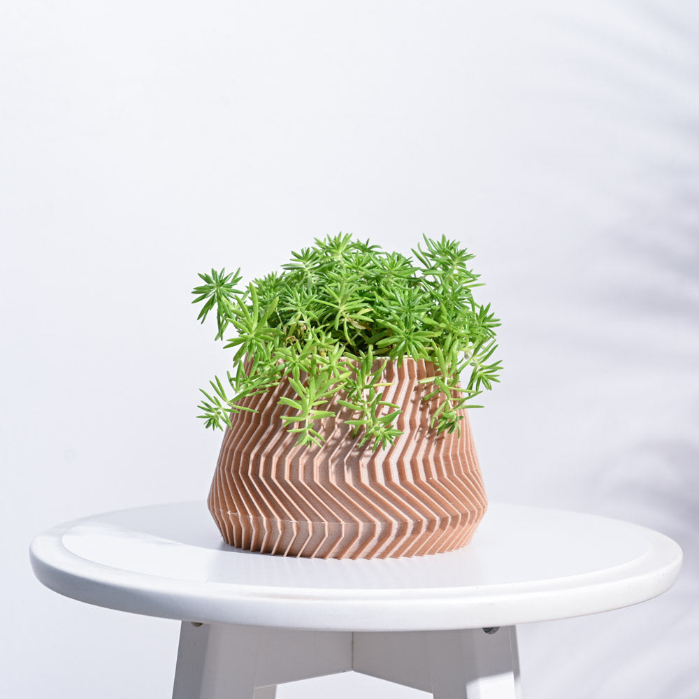 Ugaoo Ridged Waves Wooden Pot