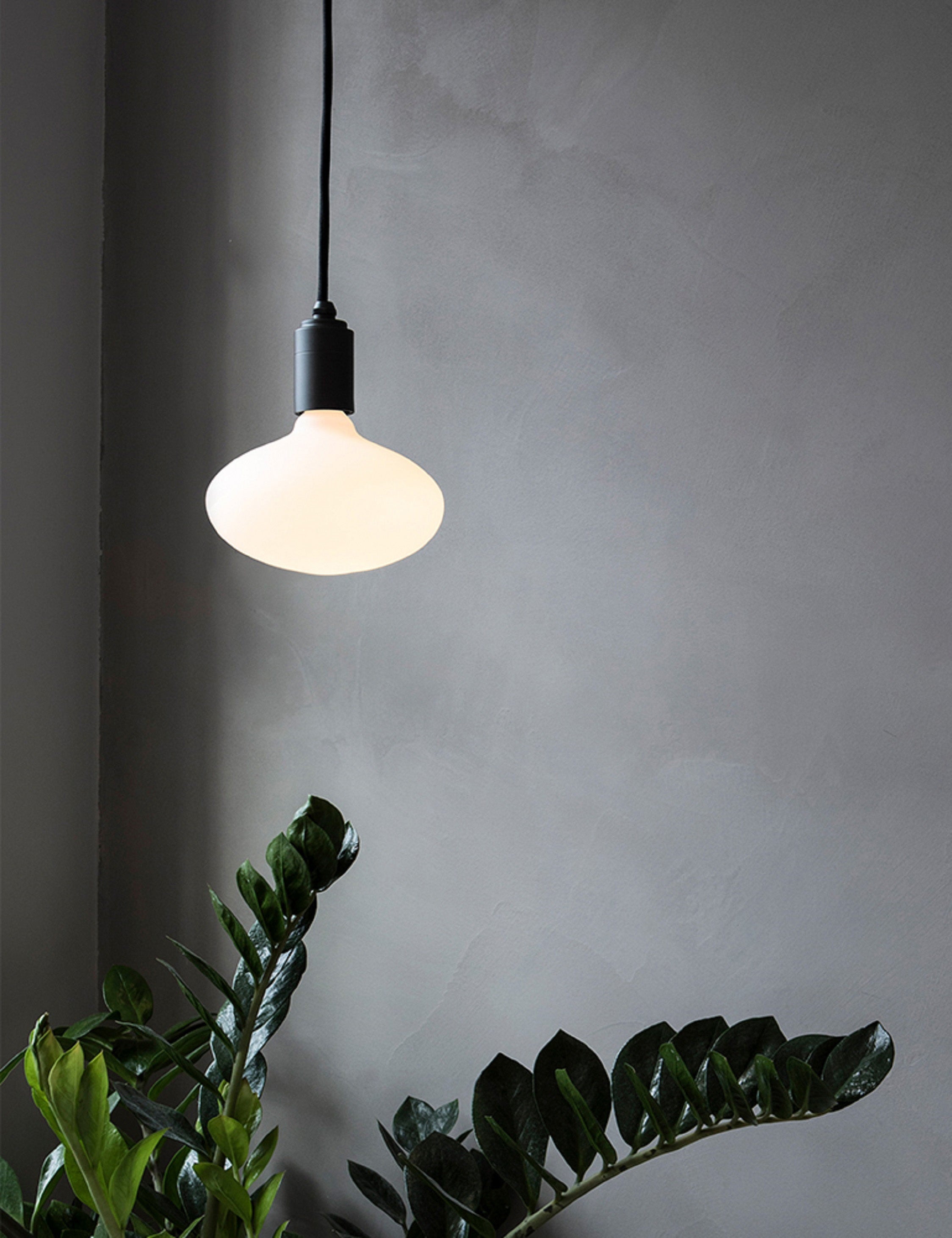 Lulu and Georgia Oval 6W LED Bulb by Tala – White - view 2