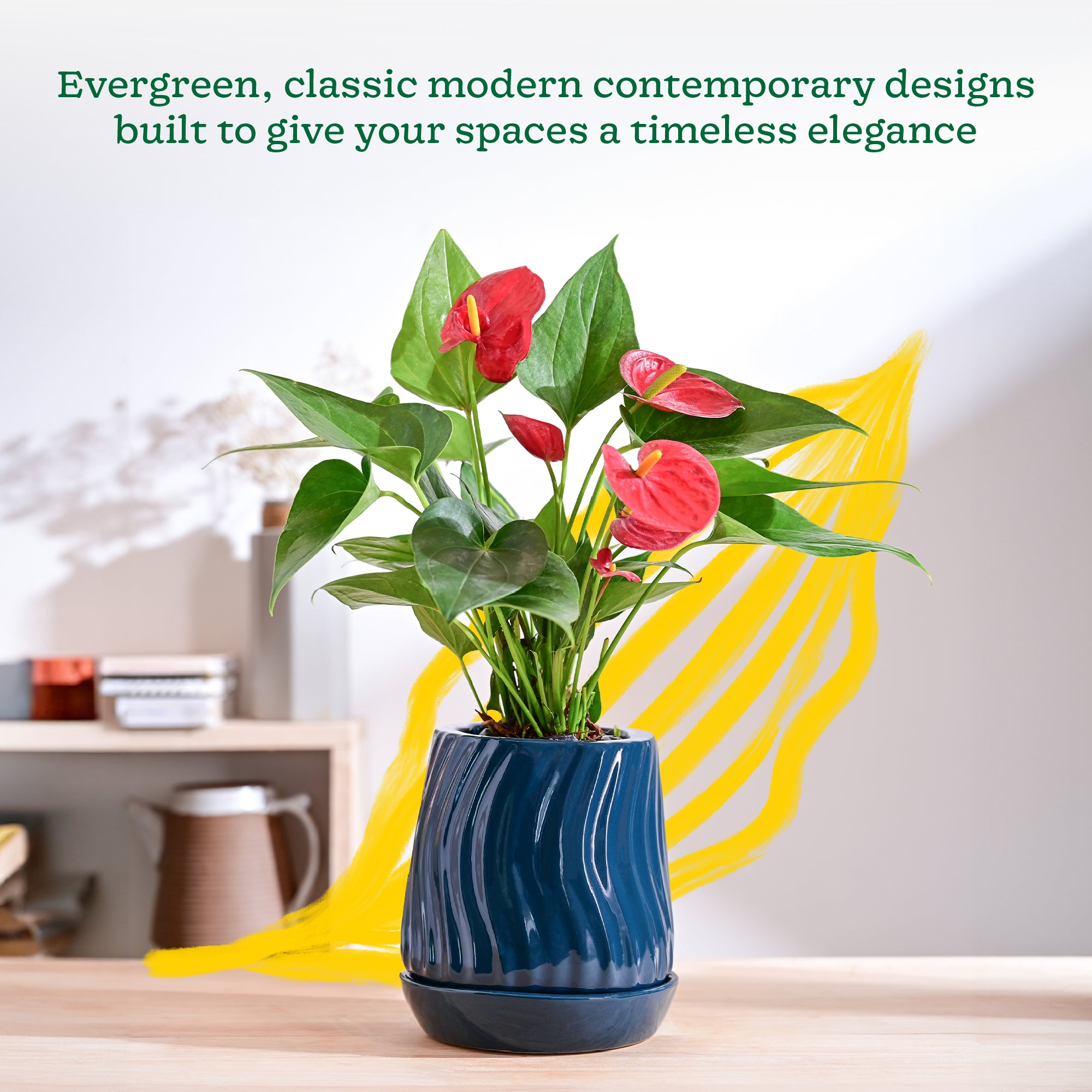 Ugaoo Fallen Angel Ceramic Planter - view 10