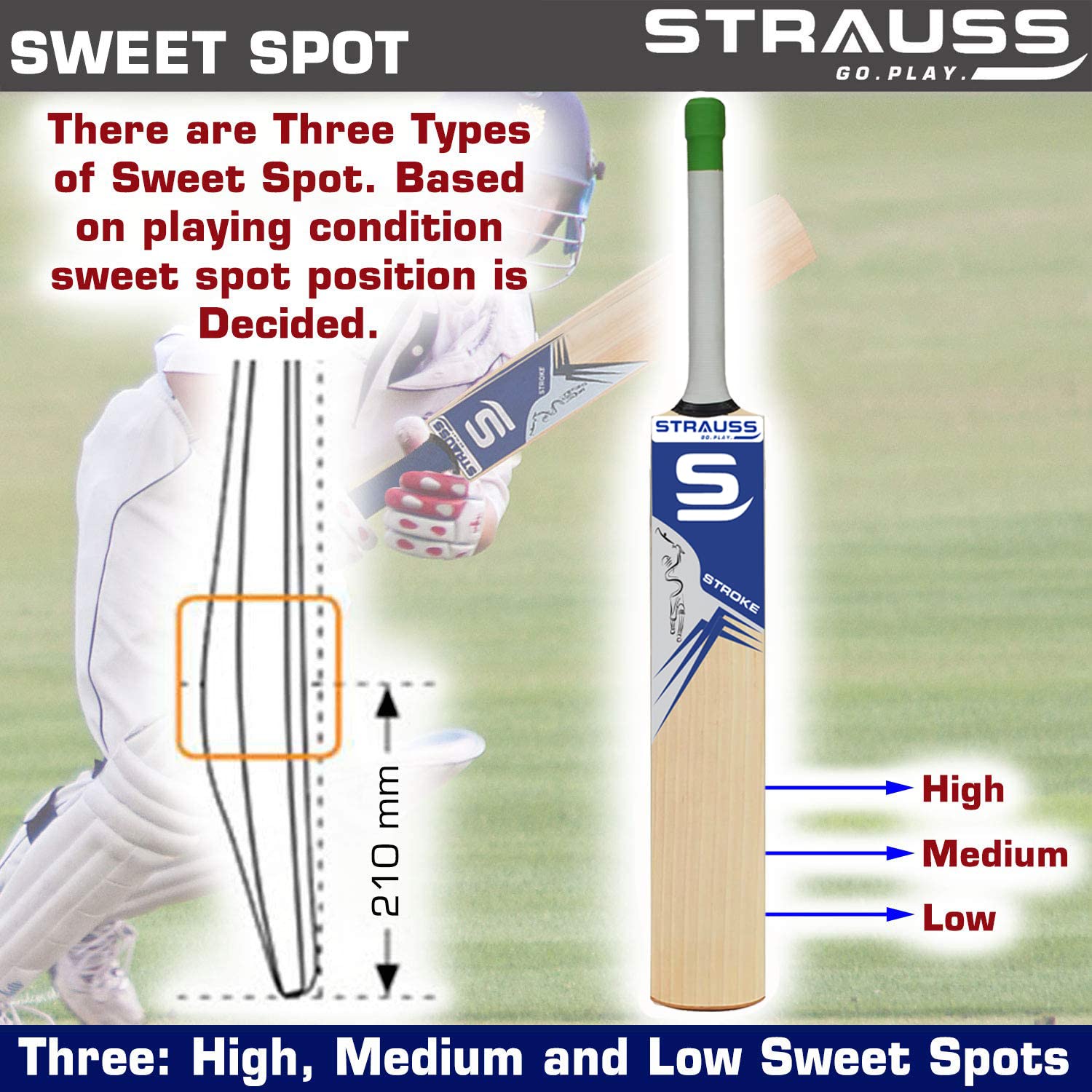 Strauss Cricket Bat English Willow | Premium Leather Ball Bat for Cricket | Ideal for Professional Players, Beginners, and Practice Sessions| Ergonomi - view 4