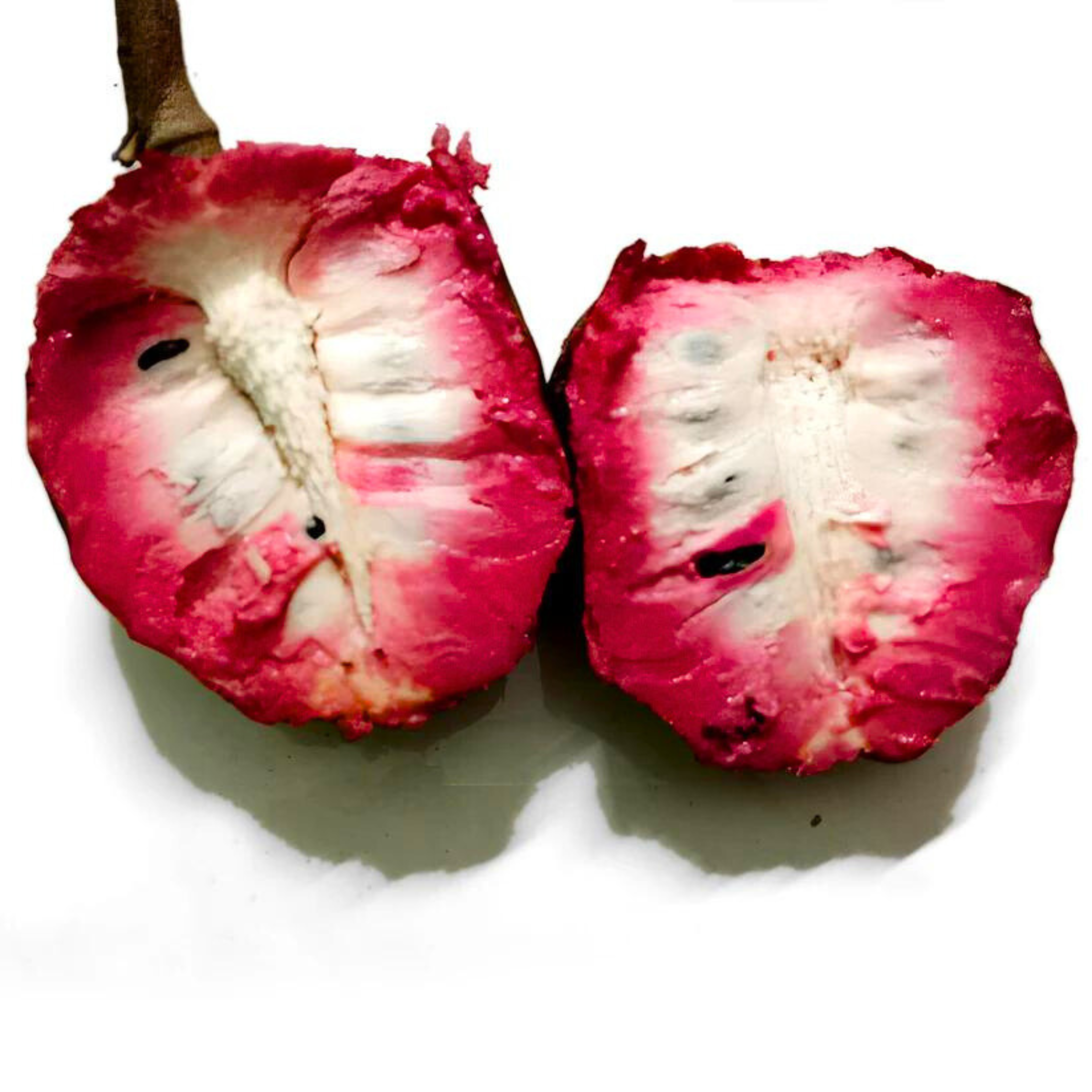 MR Tropical Red Cherimoya (Annona reticulata) Fruit Live Plant - view 2