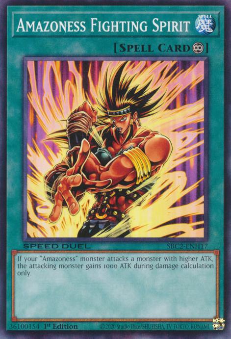 Yu-Gi-Oh! Amazoness Fighting Spirit - SBC2-ENH17 - Common - 1st Edition