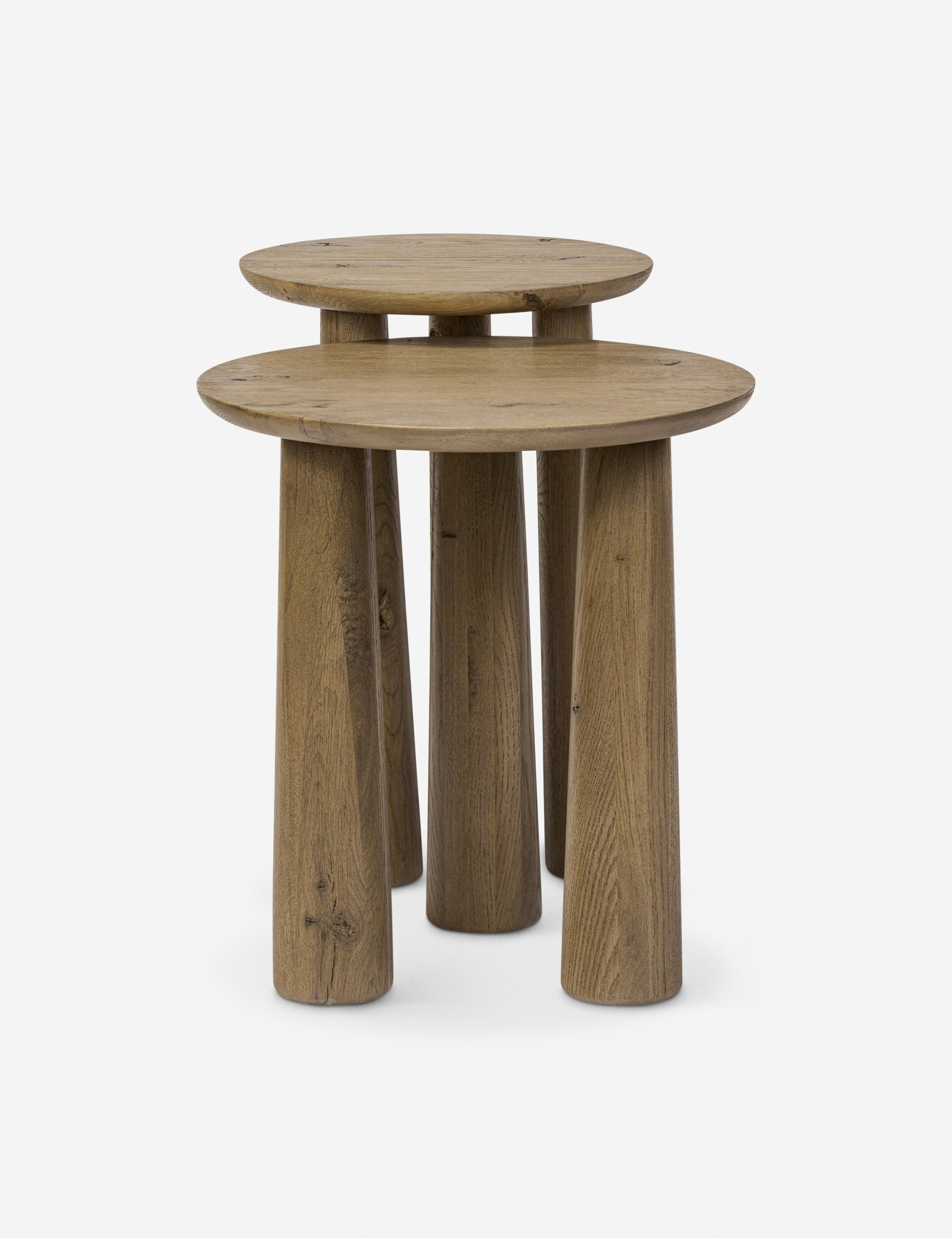 Lulu and Georgia Venturi Nesting Side Tables (Set of 2)