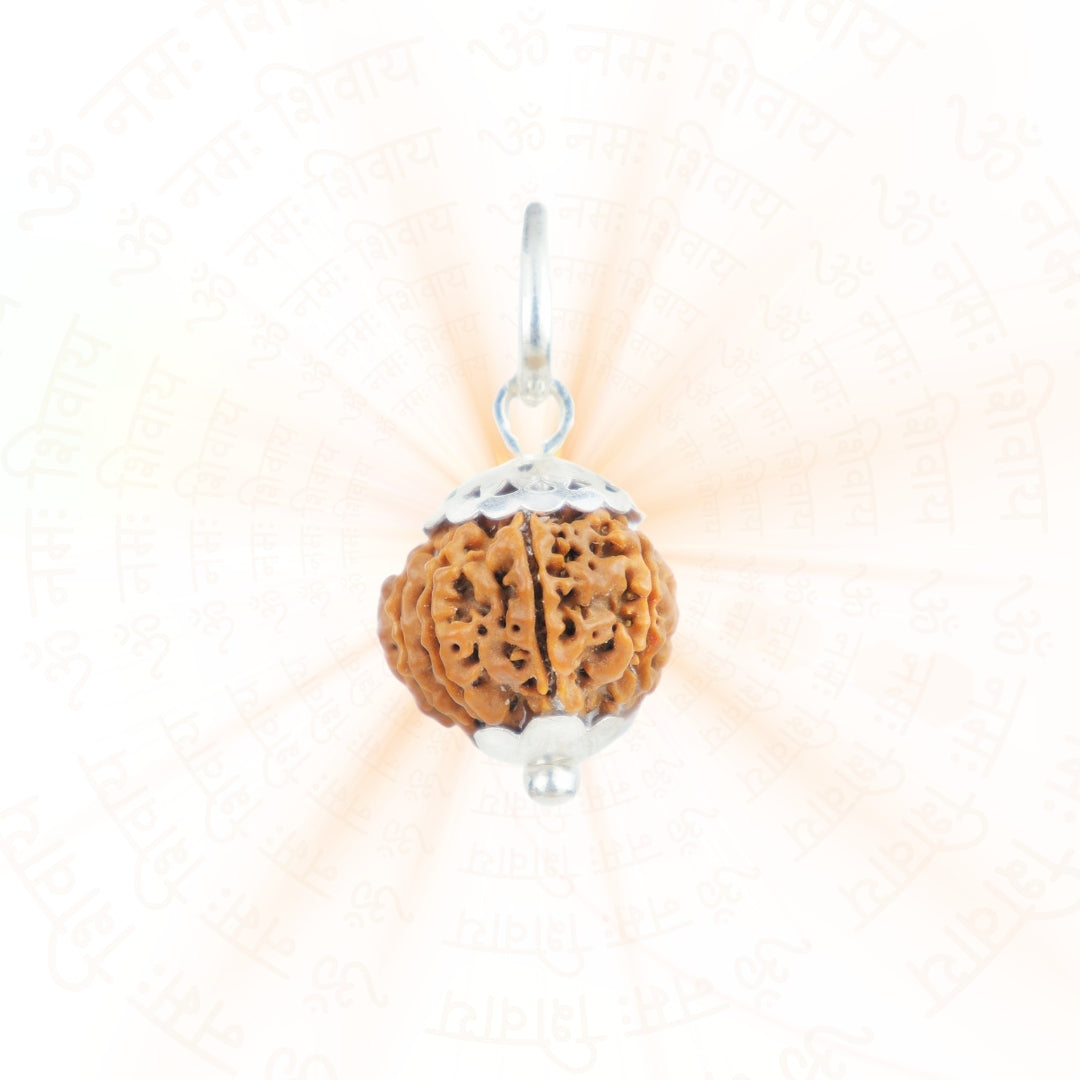 Prinjal Jewellers Silver Capping 10 Mukhi Rudraksha Pendant With Chain ( Nepali ) - view 2