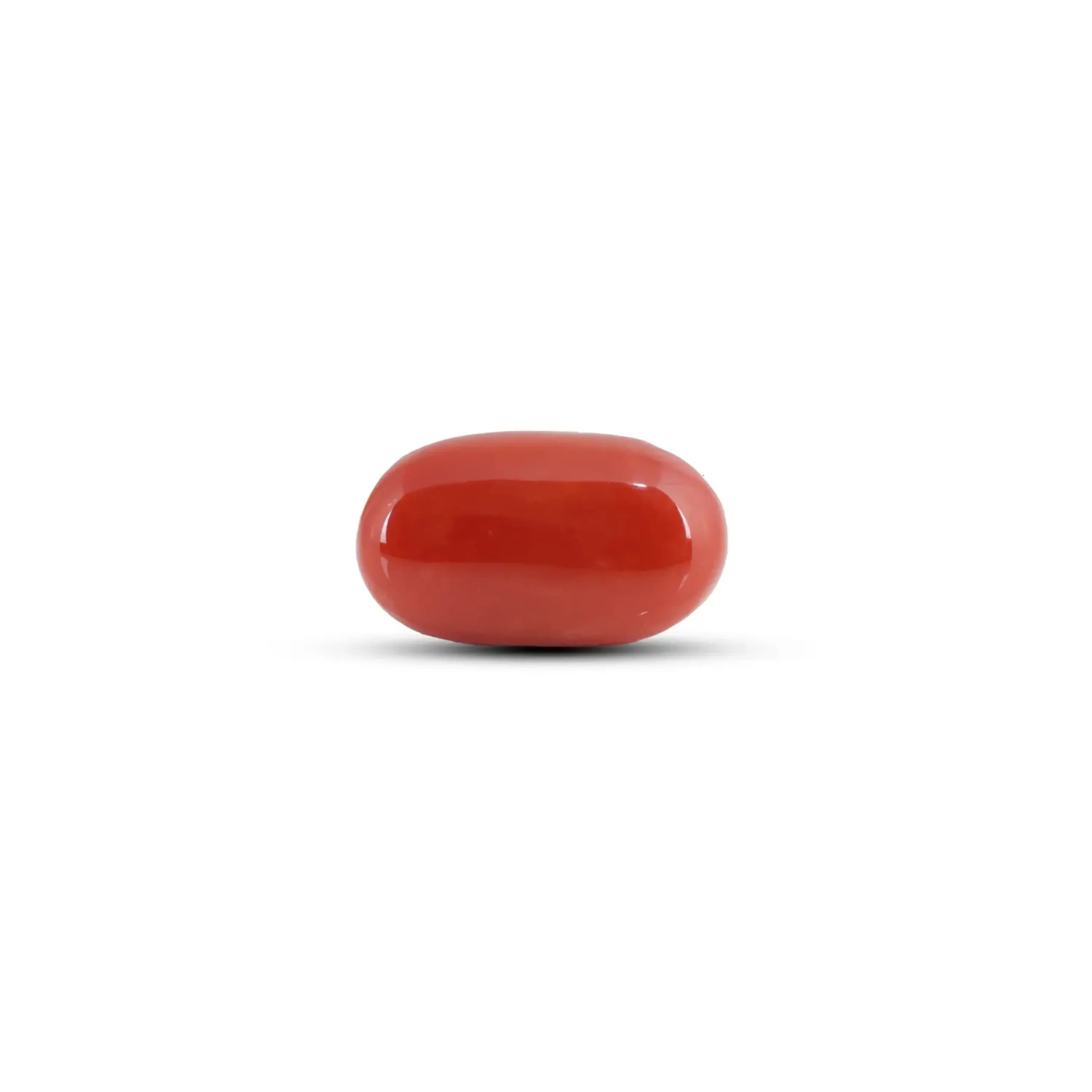 Pramogh Japanese Red Coral - 9.9 Carat