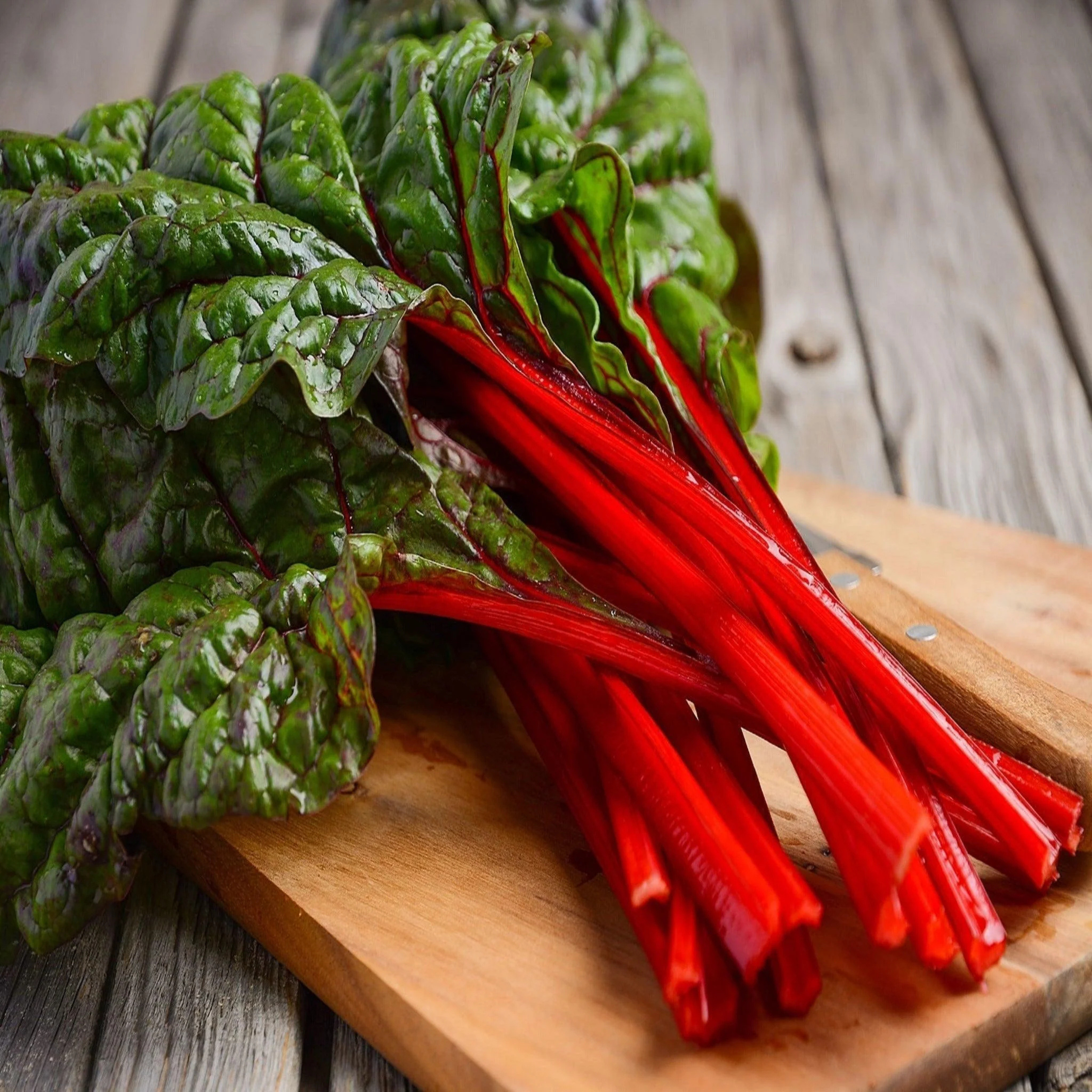 Seed2Plant Organic Swiss Chard Red (स्विस चर्ड रेड) Seeds - Open Pollinated - view 3