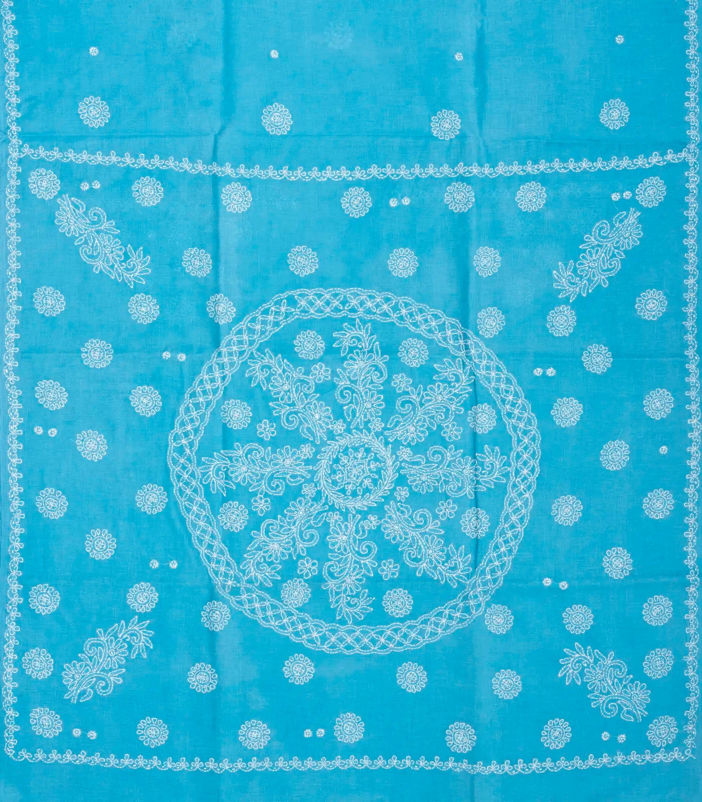 RmKV Sky Blue Chikankari Embroidered Cotton Saree With Floral Motifs - view 2