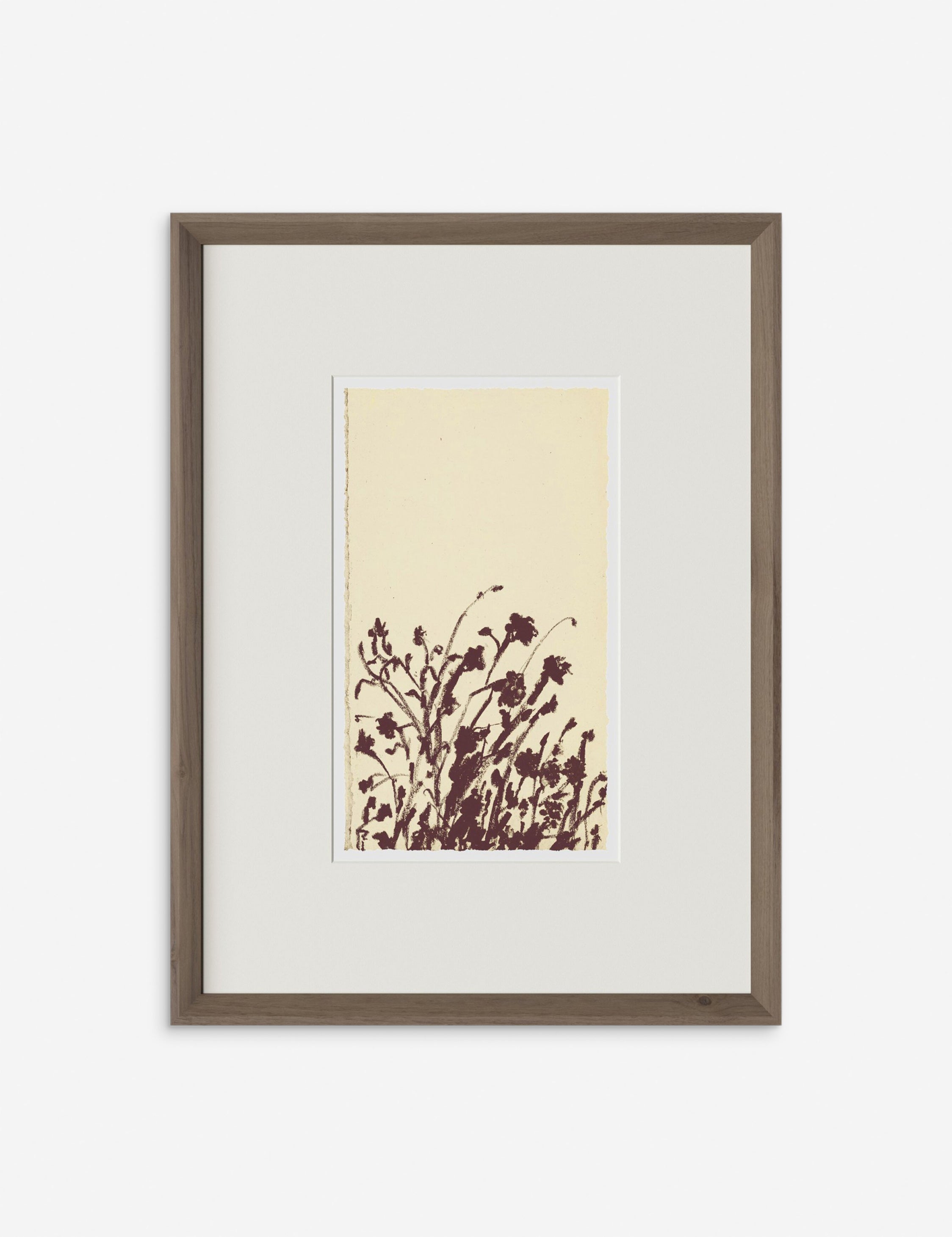 Lulu and Georgia Meadow Rue No. 7 Wall Art by Shaina Page