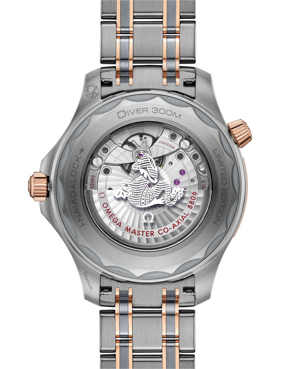 Omega Seamaster Diver 300M Co‑Axial Master Grey Dial Men 42MM - view 2