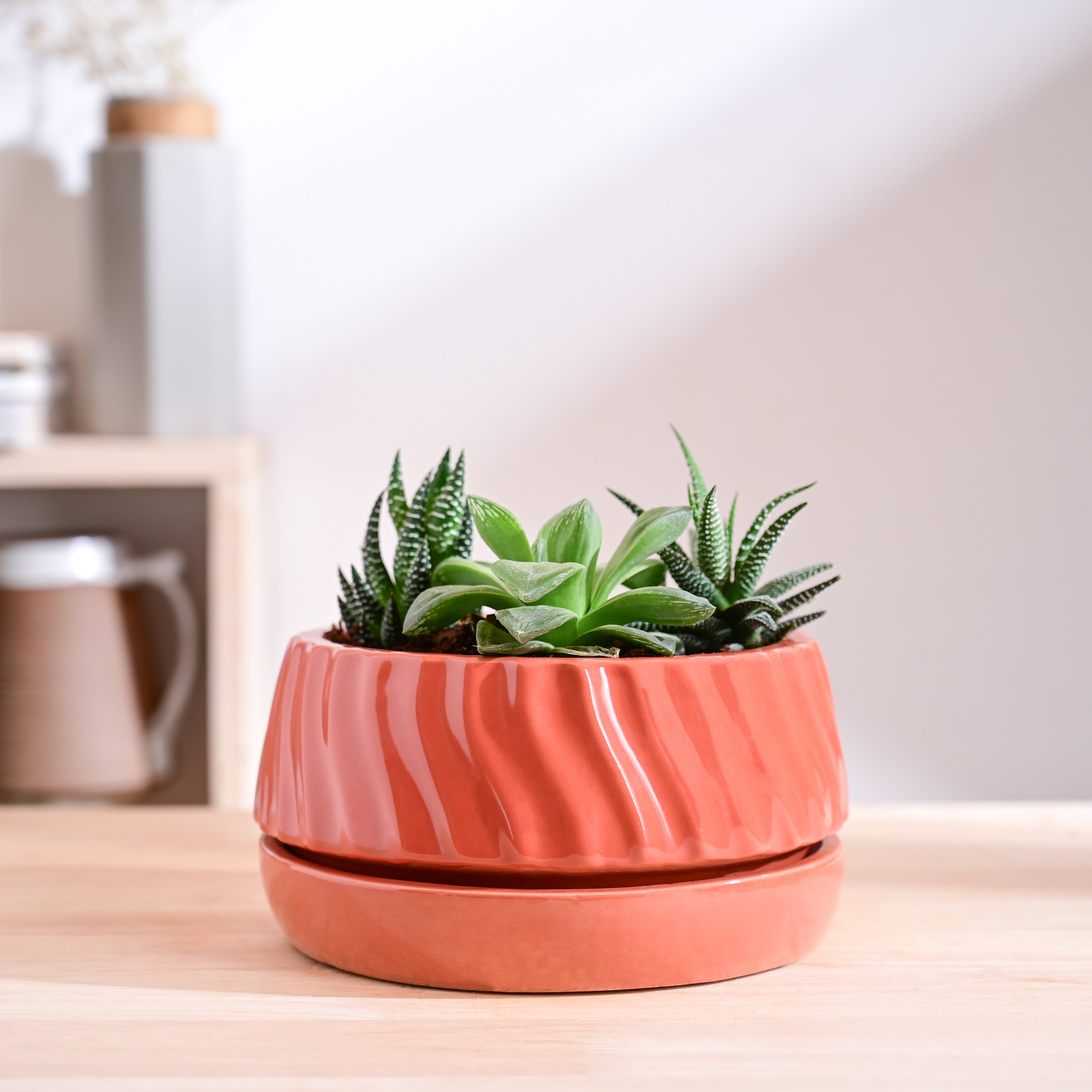 Ugaoo Fallen Angel Ceramic Planter - view 49