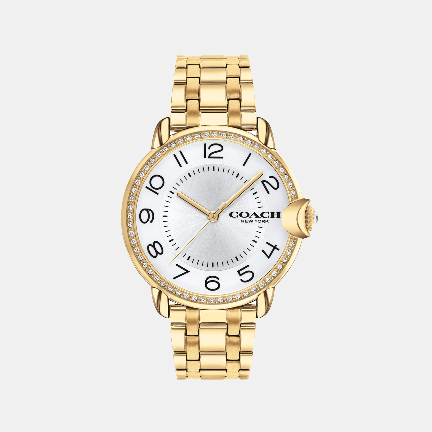 Coach Arden Women Quartz Silver Dial Analog Stainless Steel Watch 14503810