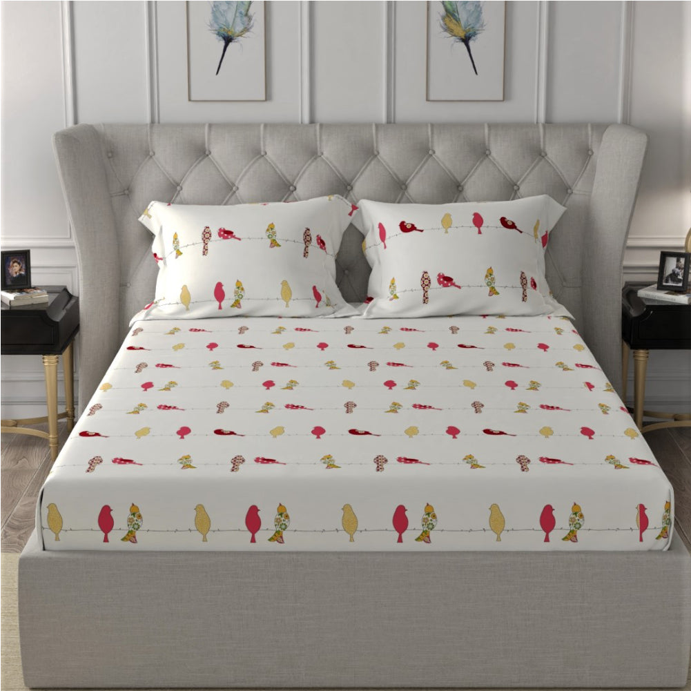 Urban Space -Home Furnishing Store Fitted King Size Cotton Bedsheet - humming bird