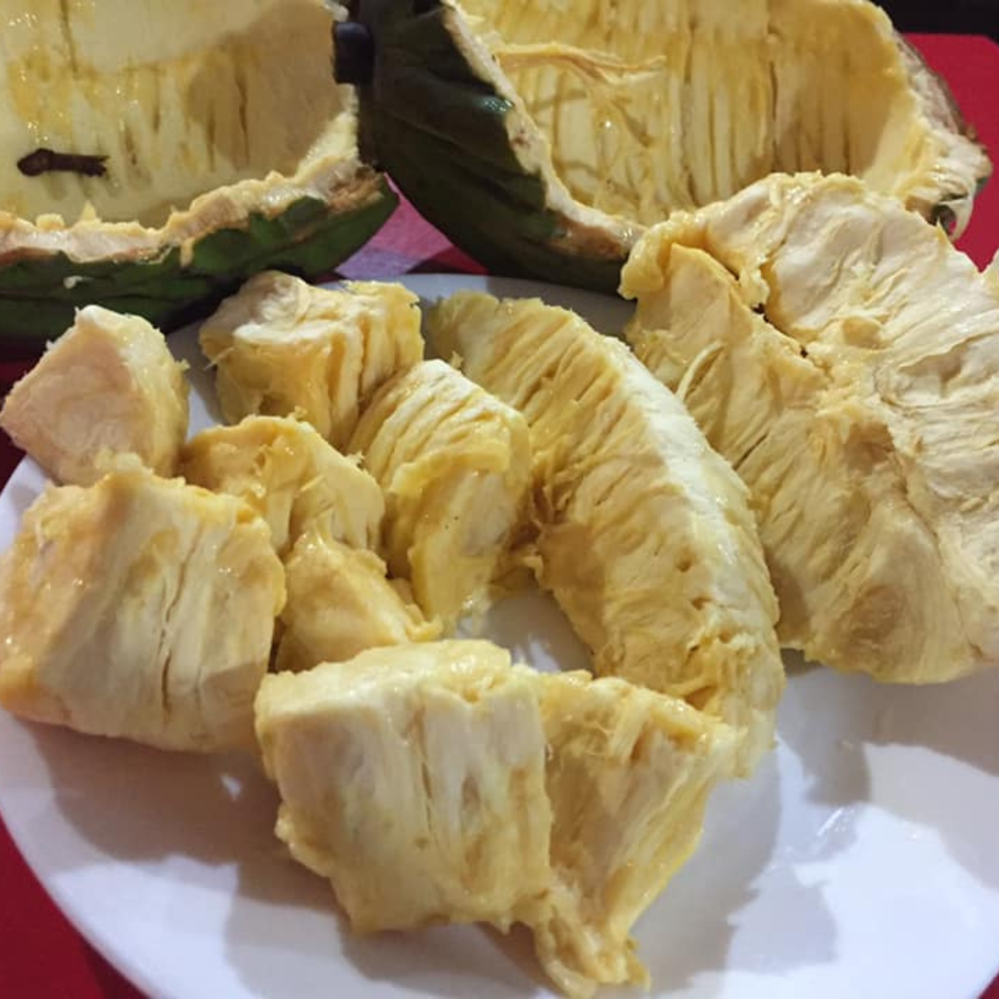 VL Mocambo / White Cacao (Theobroma Bicolor) Fruit Live Plant - view 2