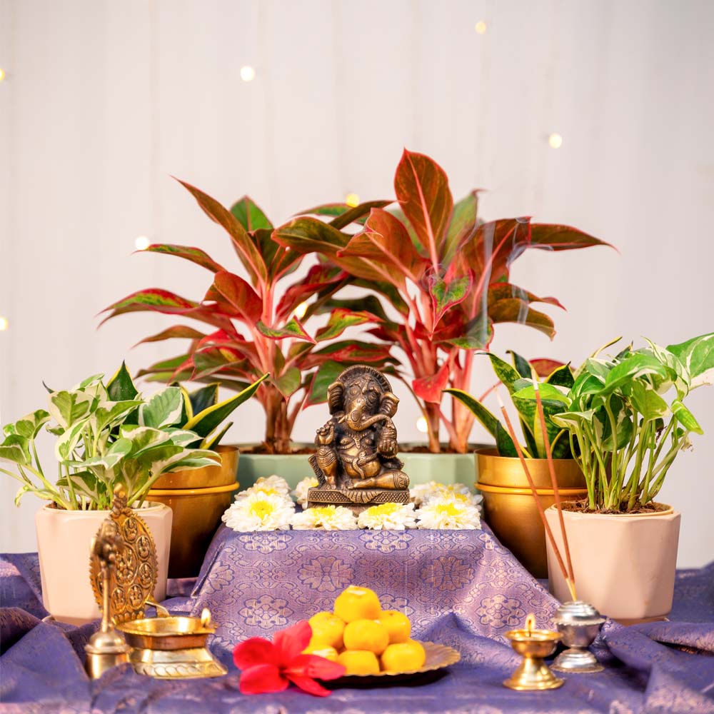 Ugaoo Ganpati Decor Festive Bundle