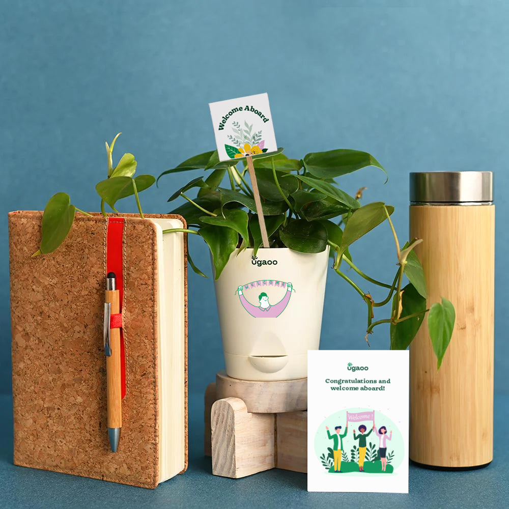 Ugaoo Welcome Abord - Employee Gifting