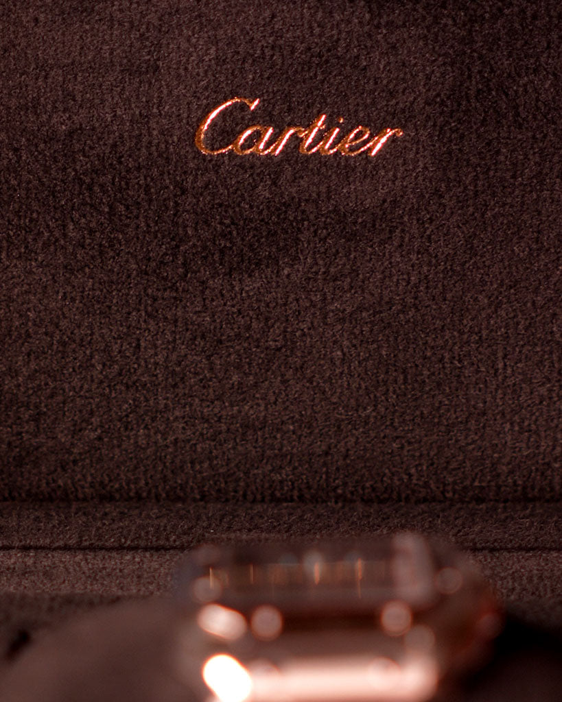 Cartier Santos De Cartier Watch WSSA0061 – Multi - view 7