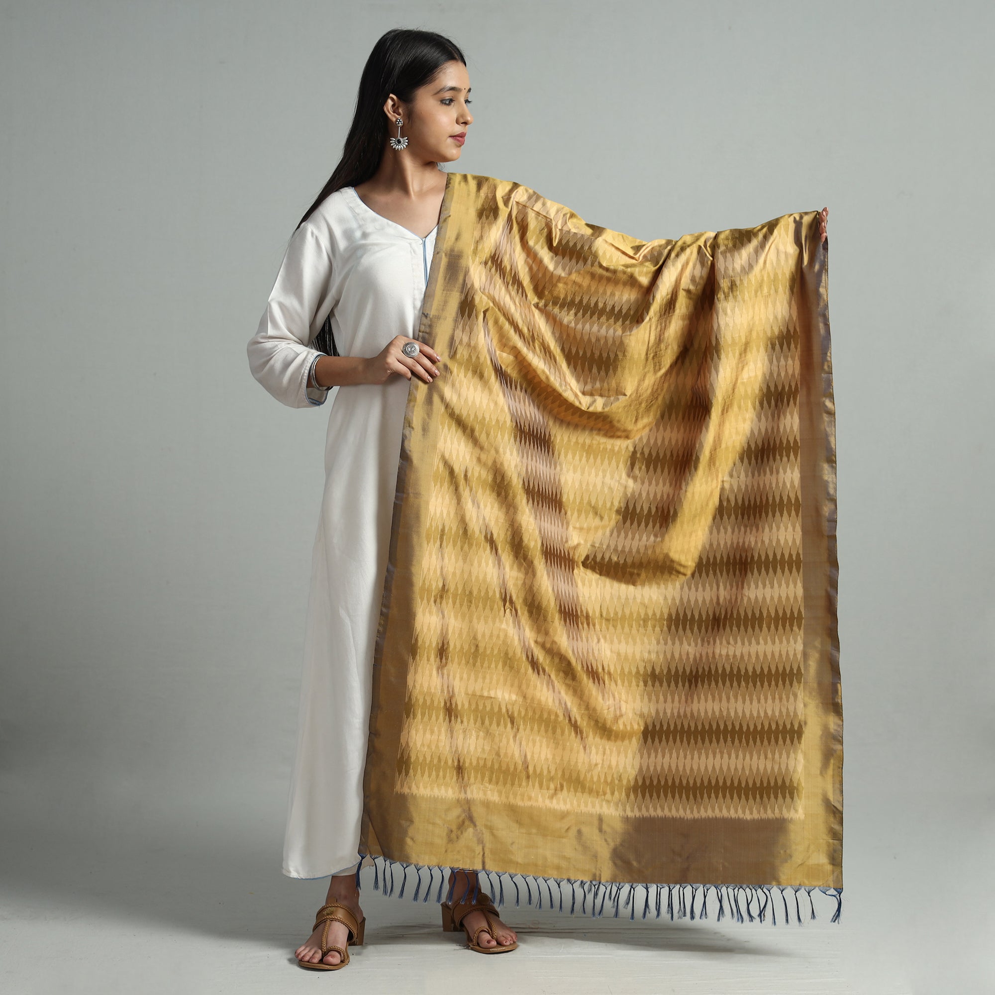 POCHAMPALLY IKAT WEAVES BY GOVARDHAN Brown - Pochampally Ikat Weave Pure Silk Handloom Dupatta 51